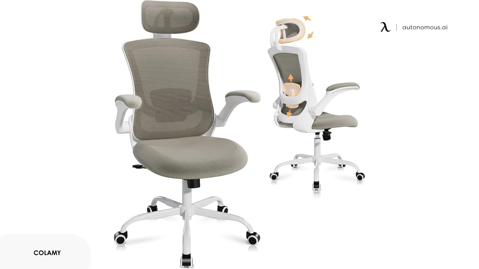 COLAMY Ergonomic Office Chair