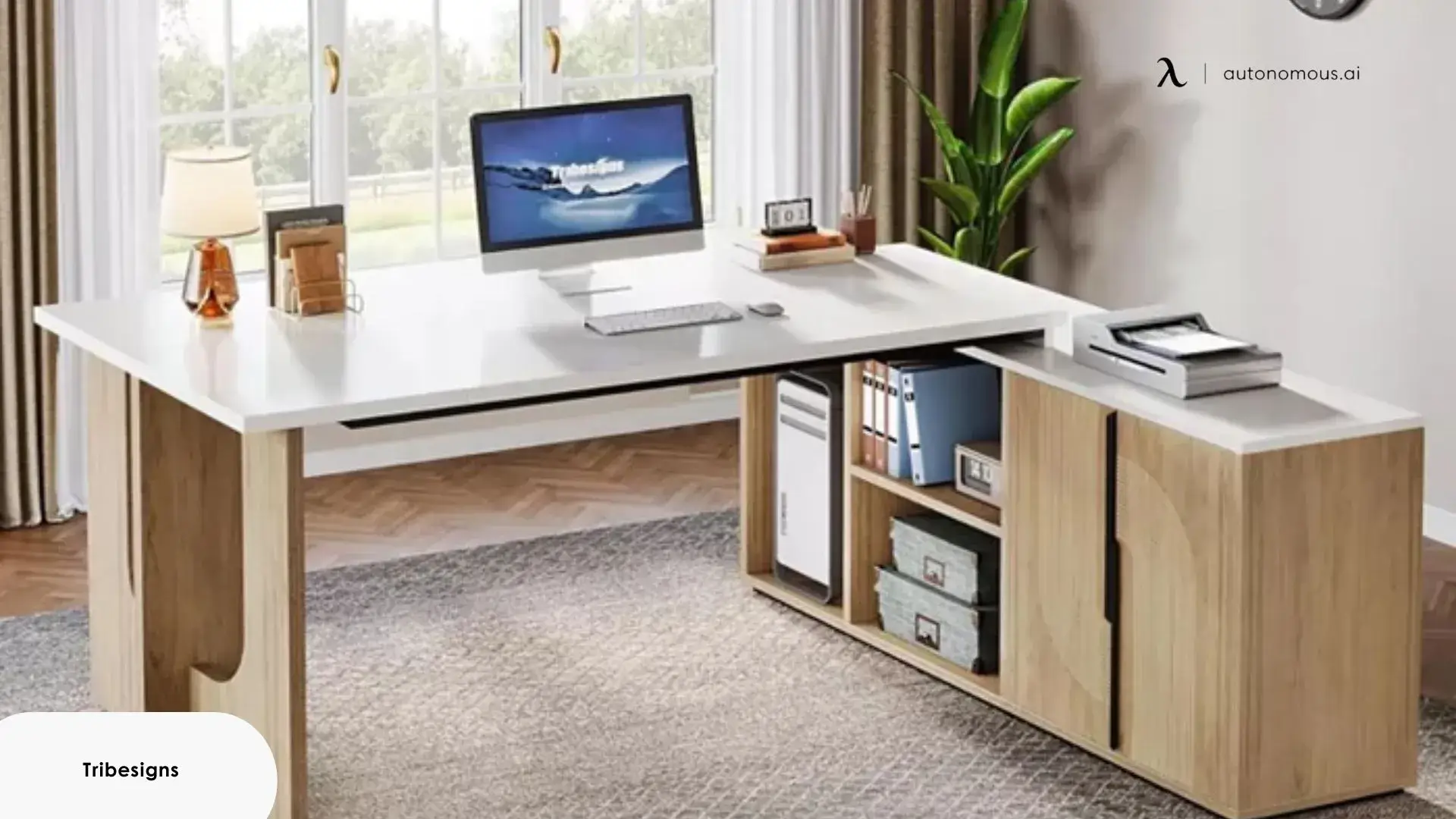 Executive Desk, Large Office Desk with Cabinet,