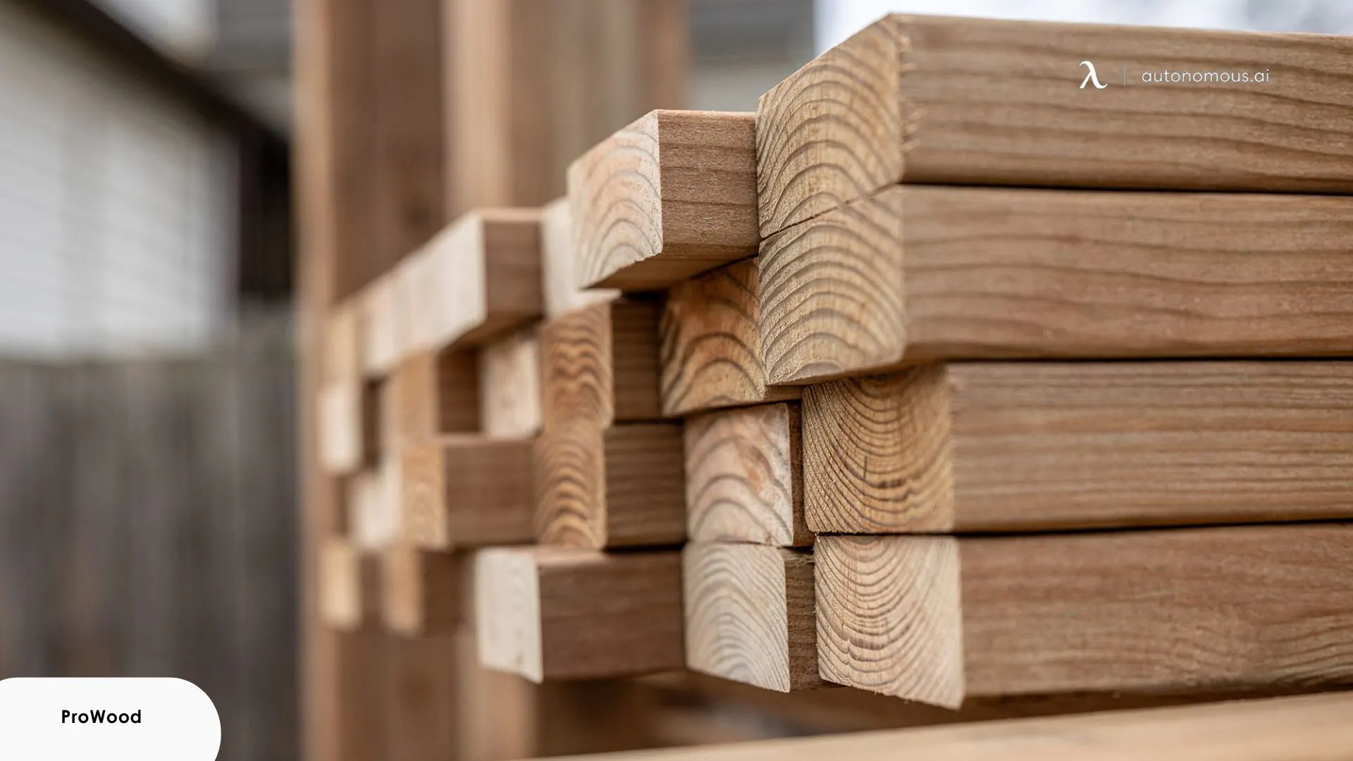 What is Pressure Treated Wood?