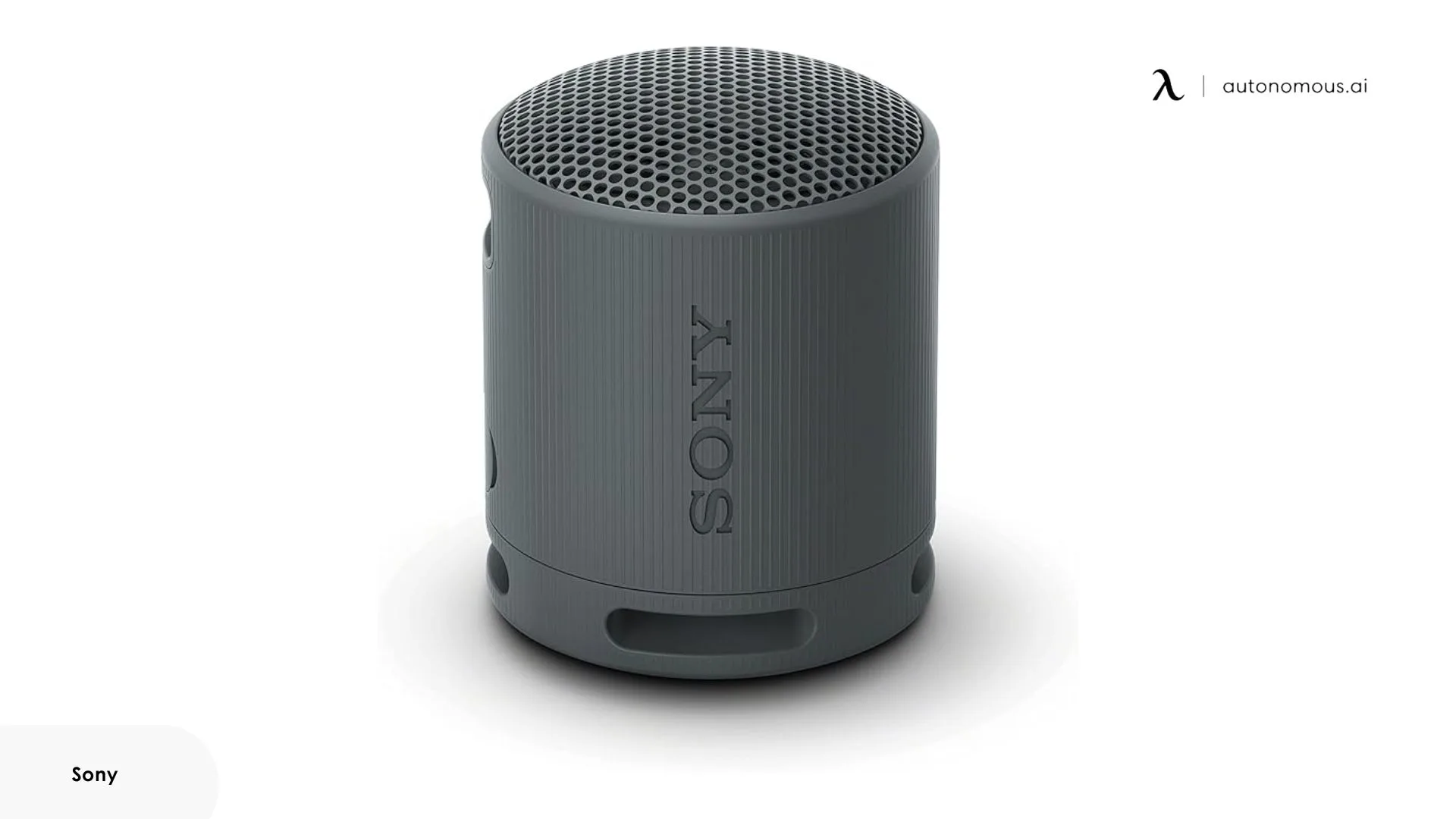 Sony SRSXB100/B