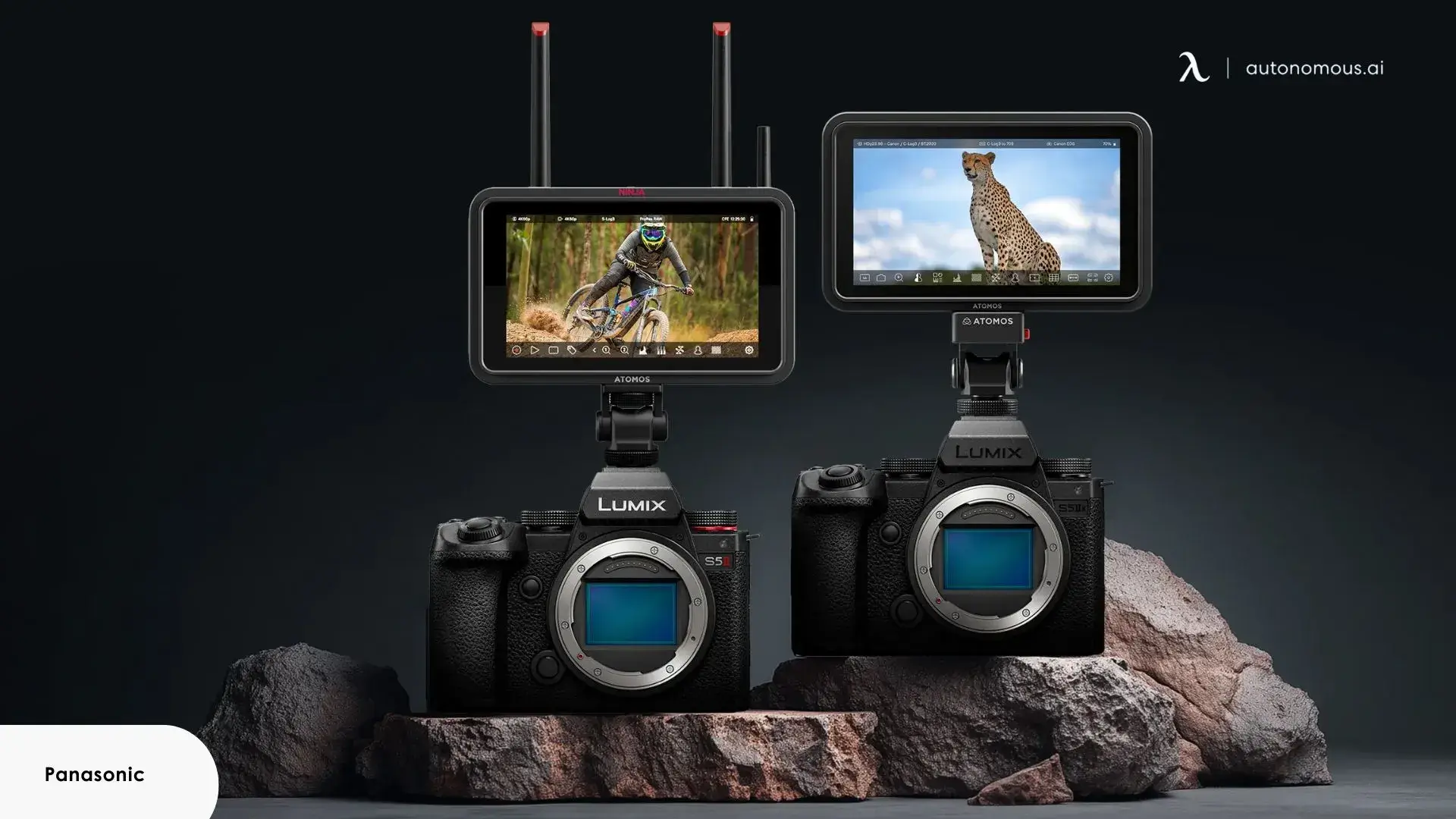 Panasonic Black Friday Camera Sale 2025