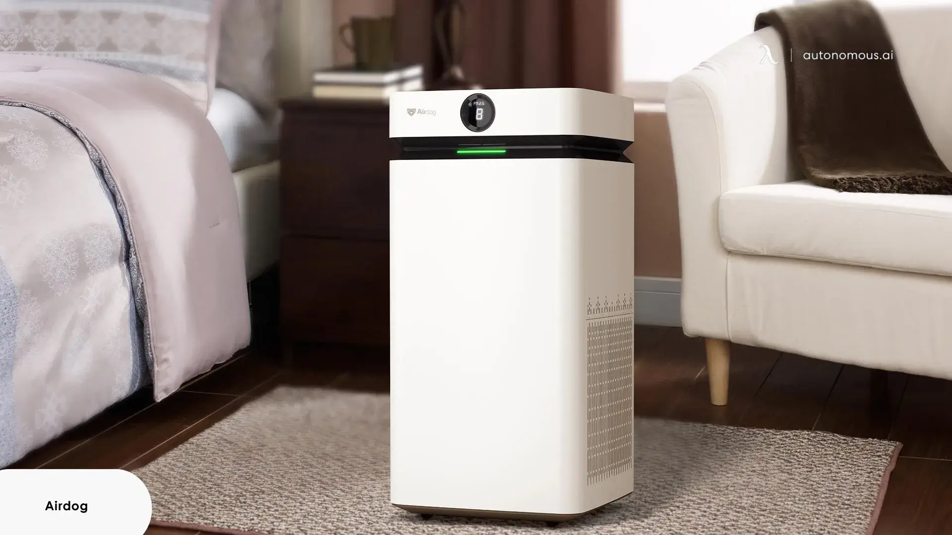 Black Friday air purifier