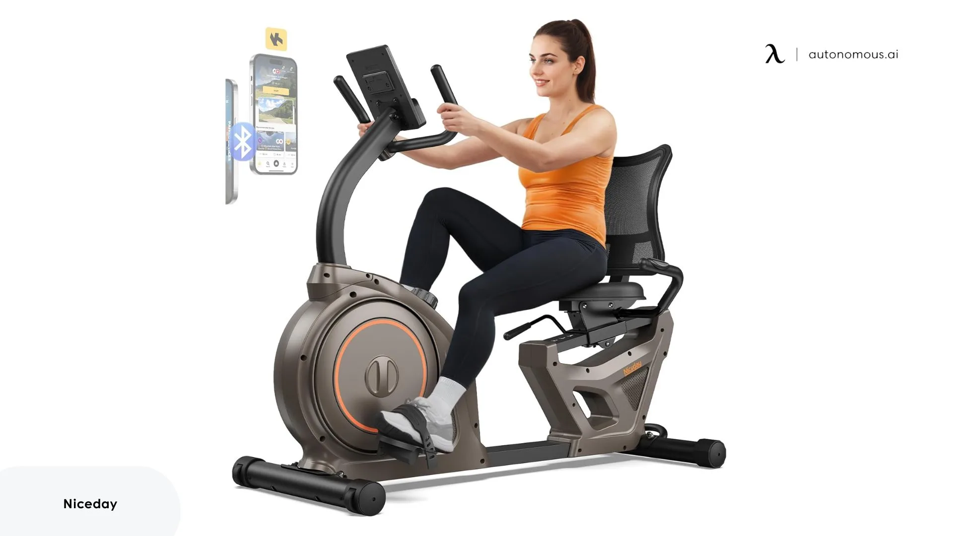 Niceday Recumbent Exercise Bike