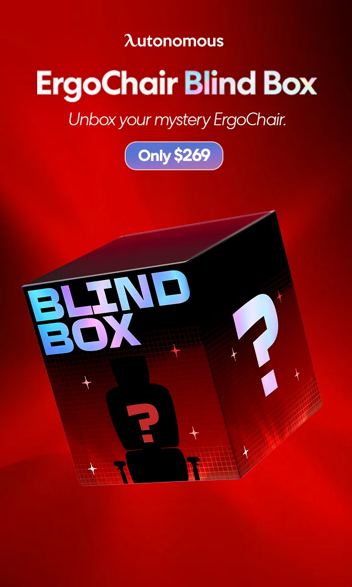 Autonomous ErgoChair Blind Box