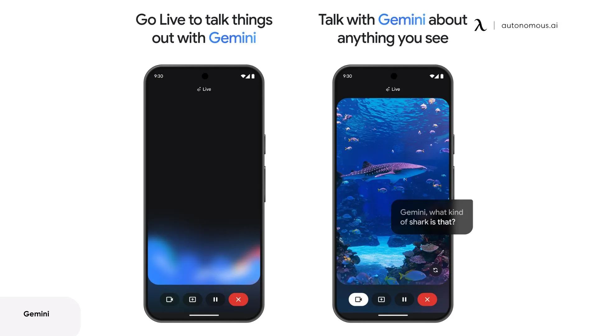 Gemini app