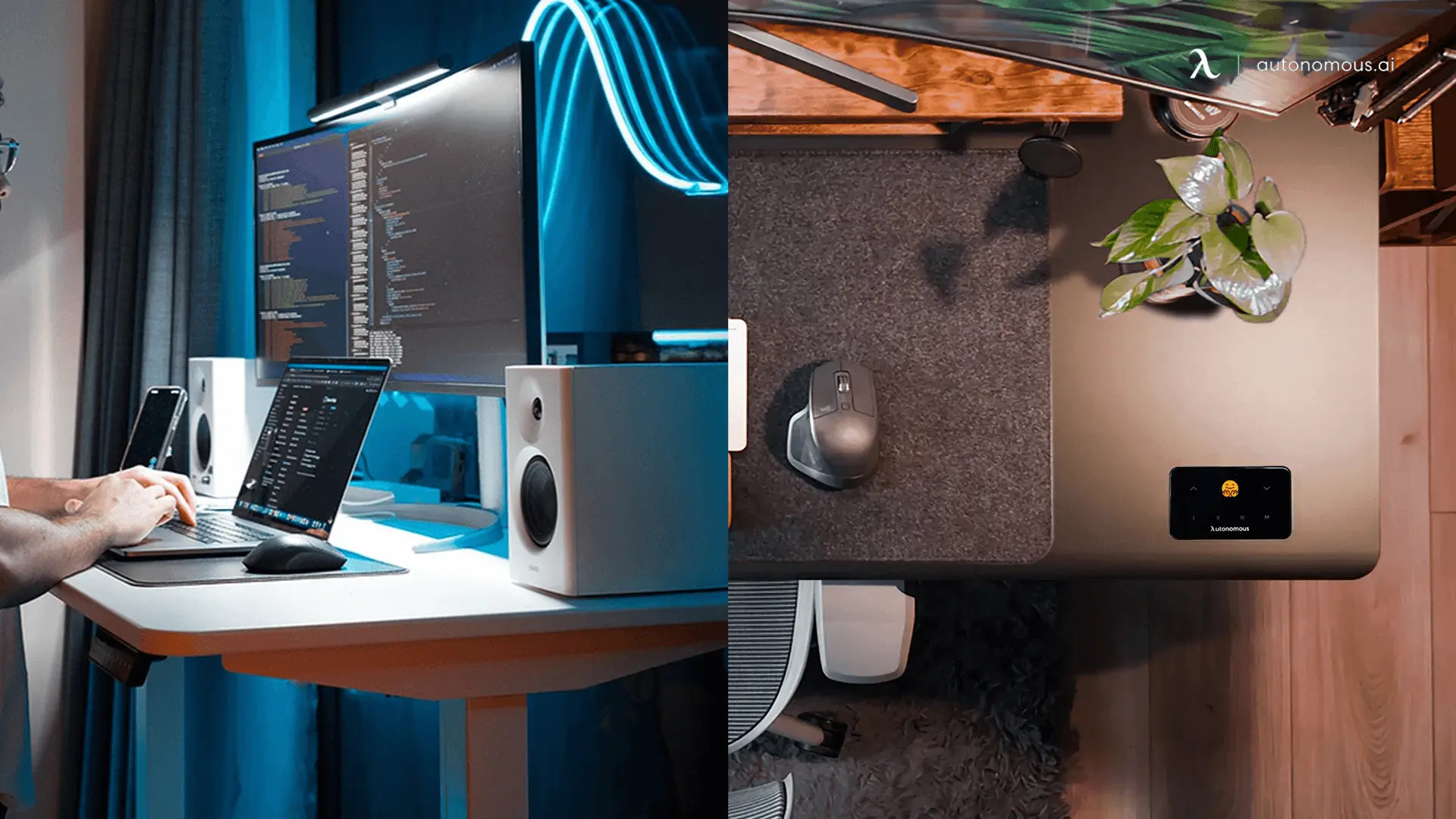 Which Desk Should You Buy?