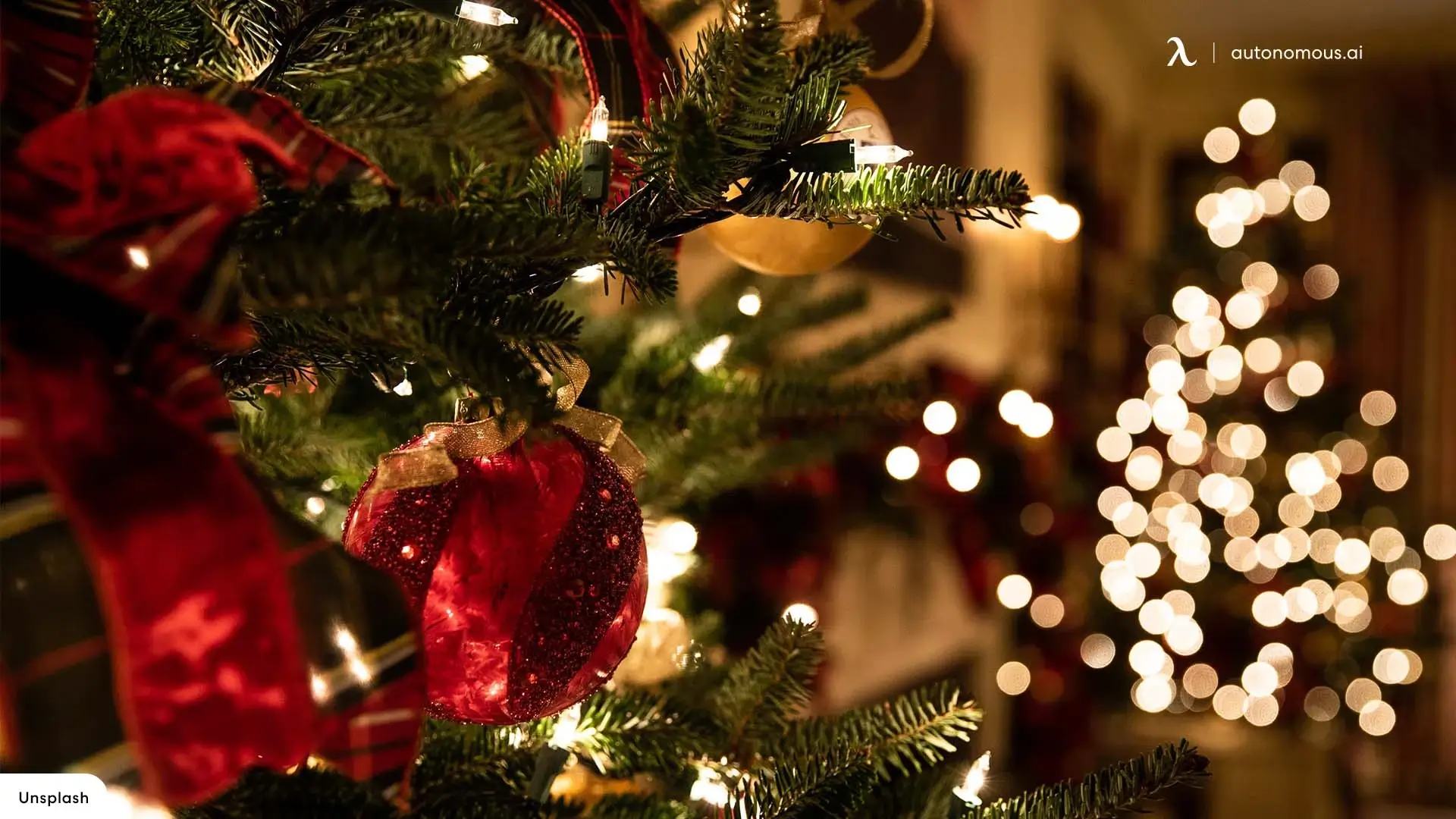 The Ornament-Only Wire Tree