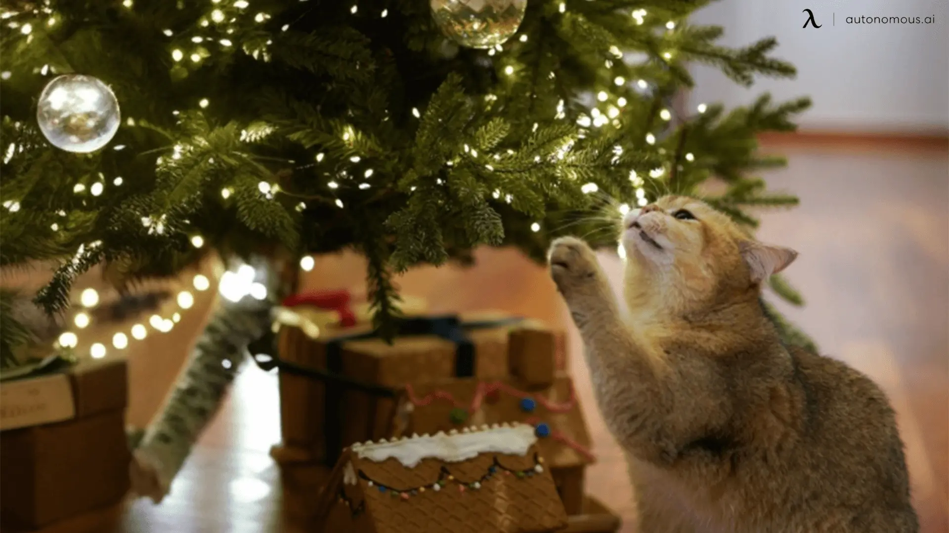 Safety Tips for Placing Your Christmas Tree