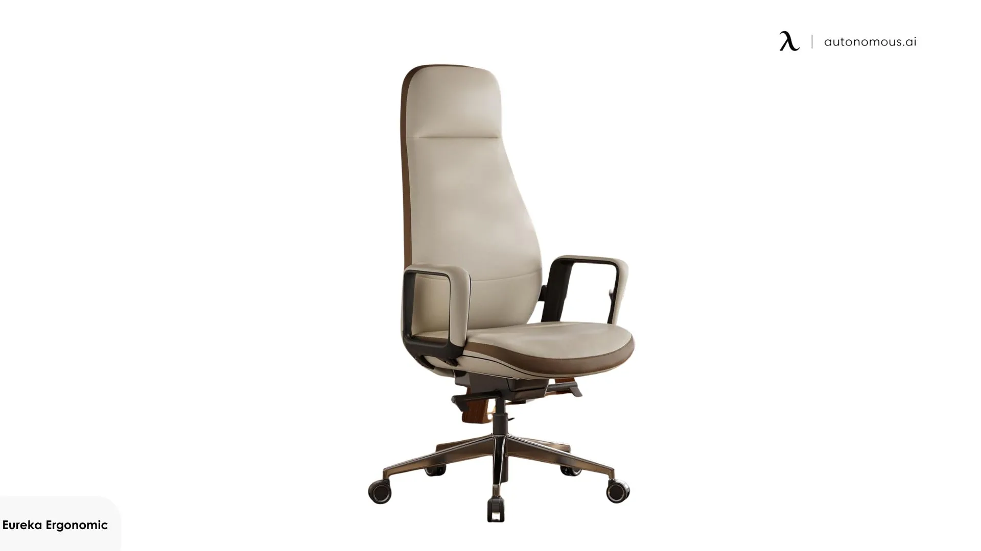 Eureka Ergonomic Alto Desk Chair