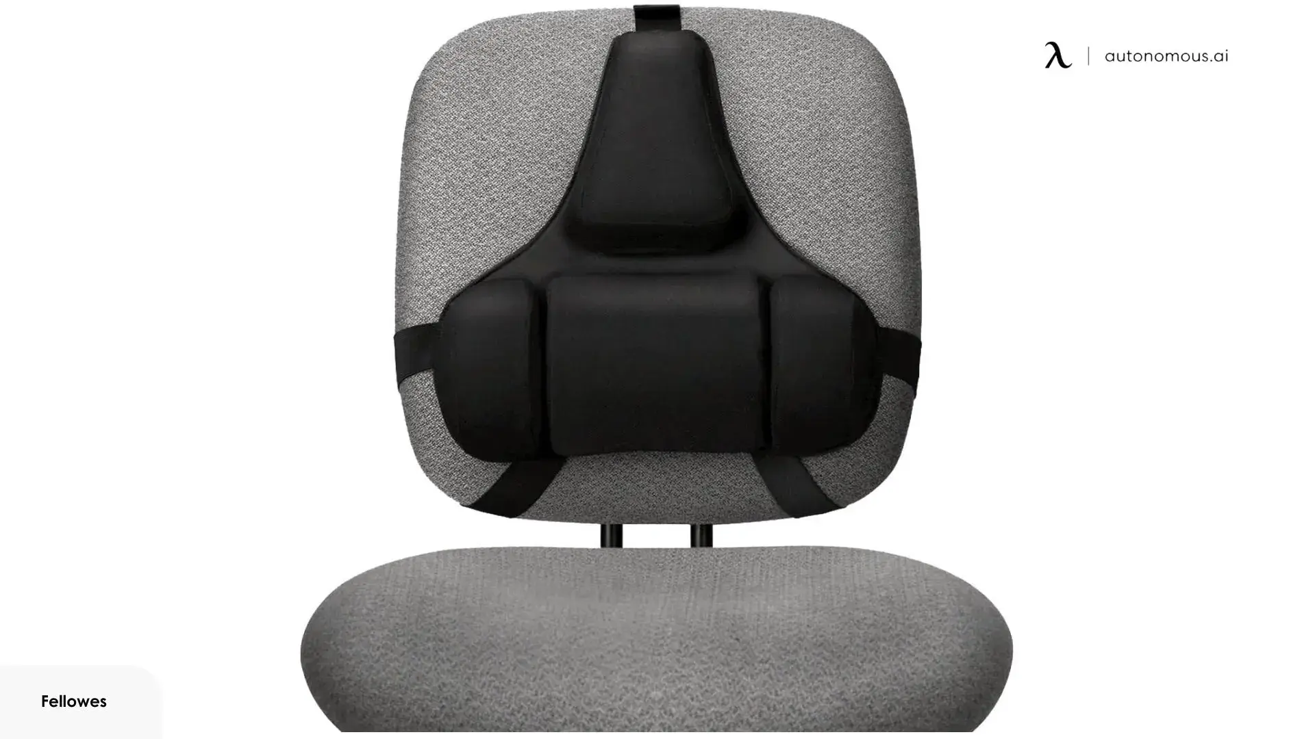 Fellowes Professional Series Back Support