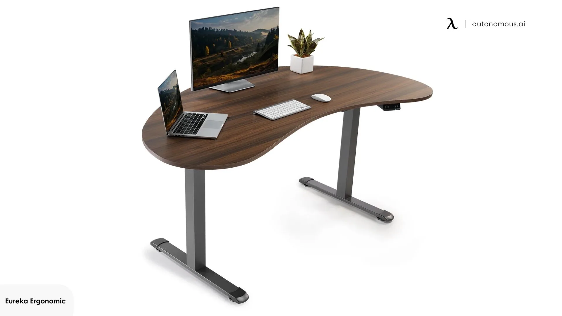 Eureka Ergonomic Cashew Shape Standing Desk