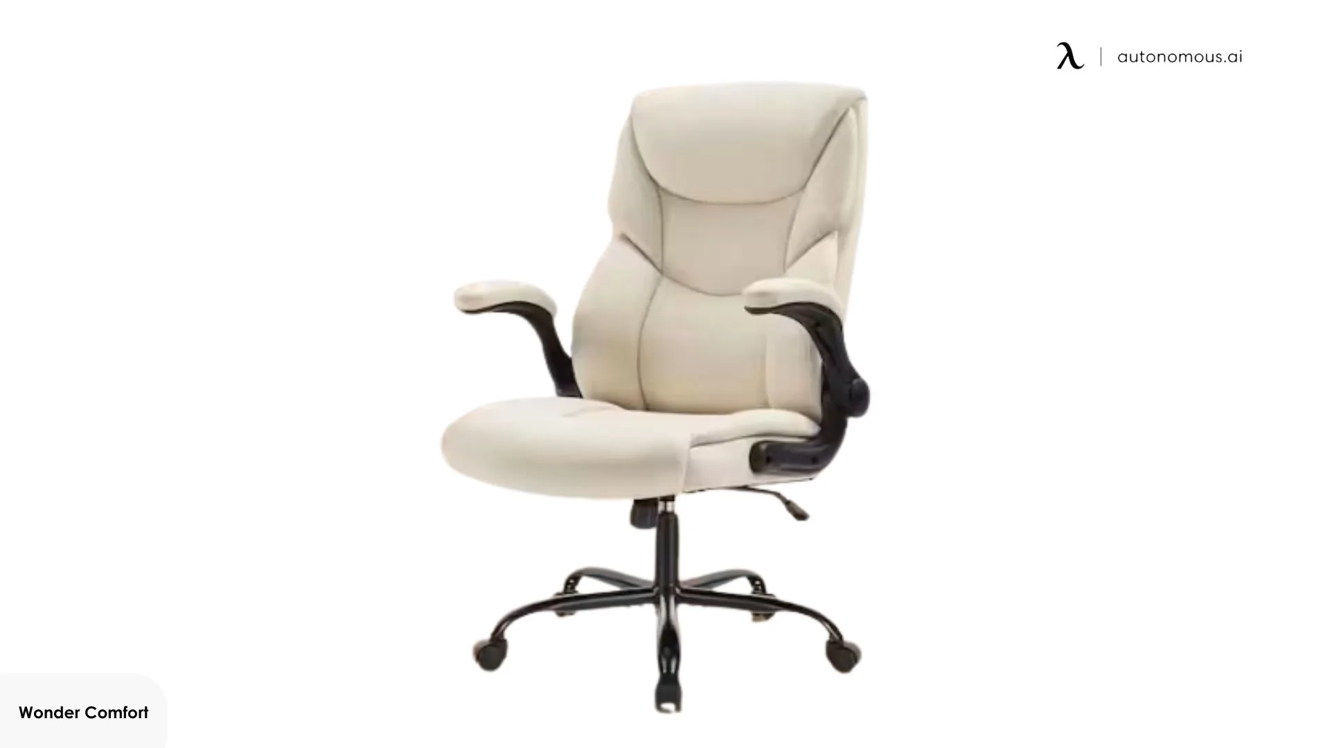 Wonder Comfort Ergonomic High Executive Chair