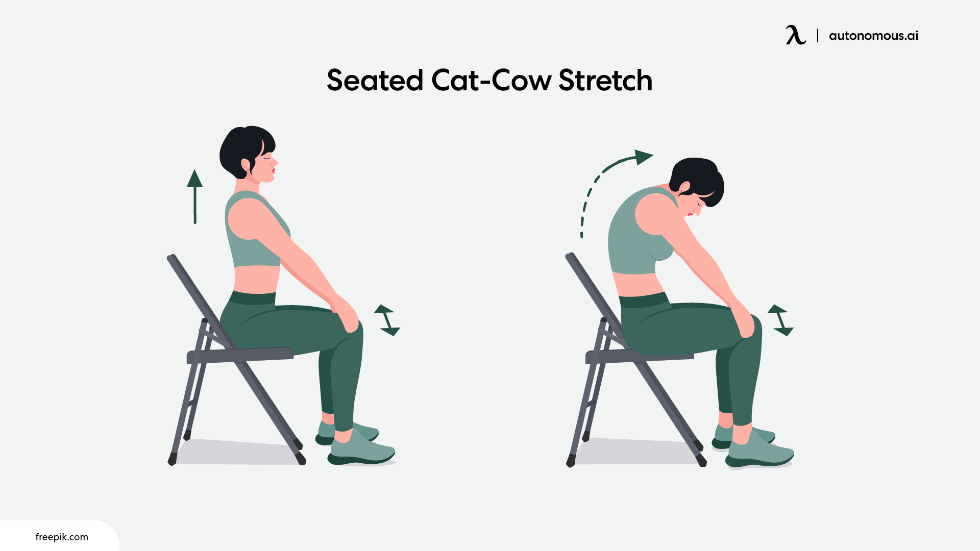 Seated Cat-Cow Stretch