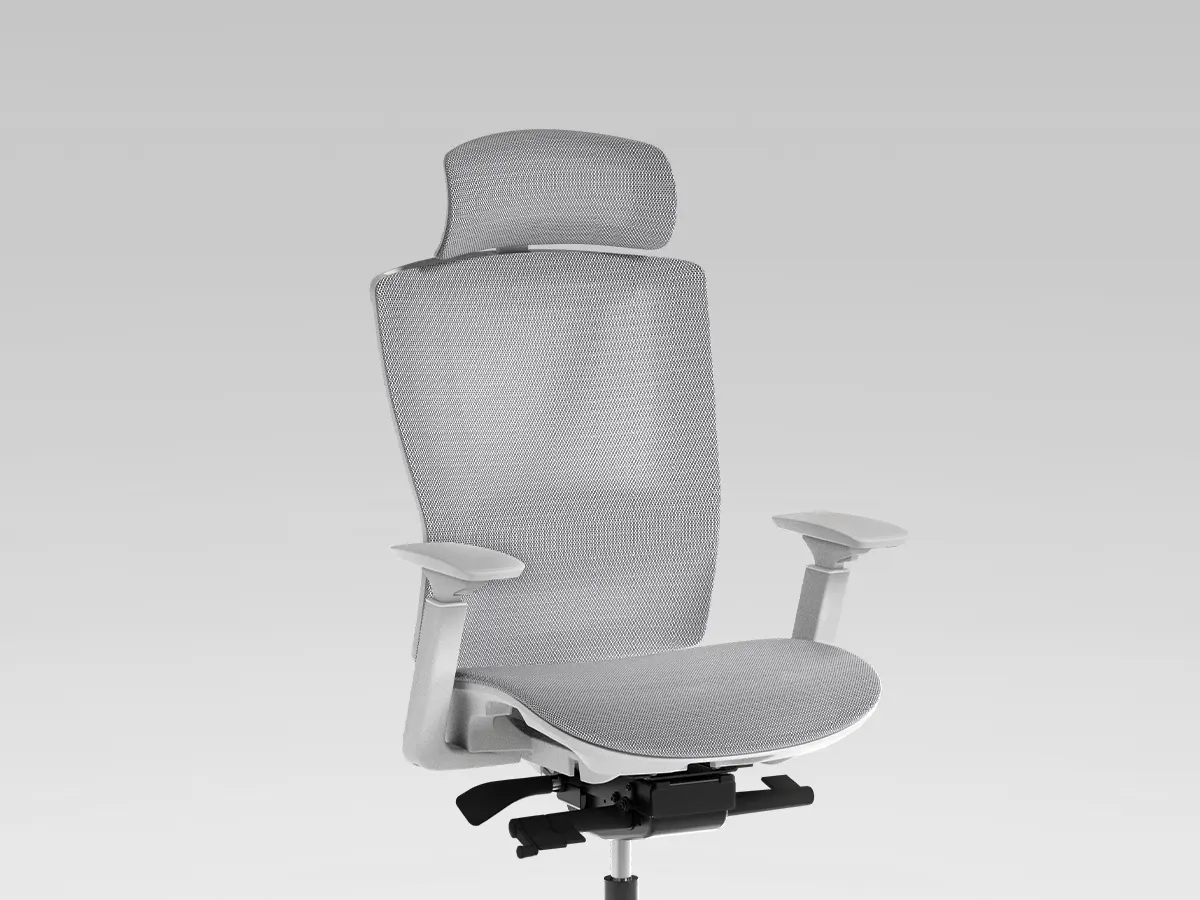 ErgoChair Mesh