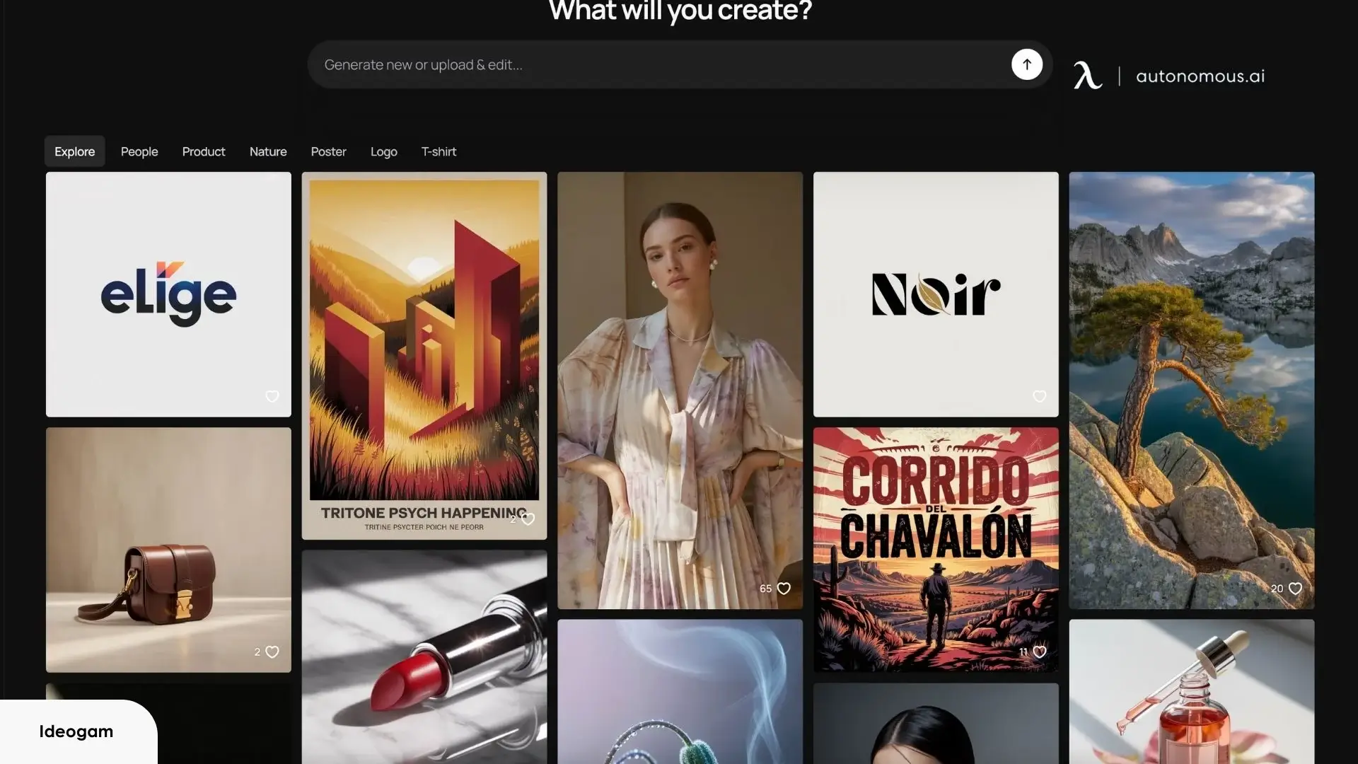 Ideogram — Precise Output, Privacy Locked Behind Paywall