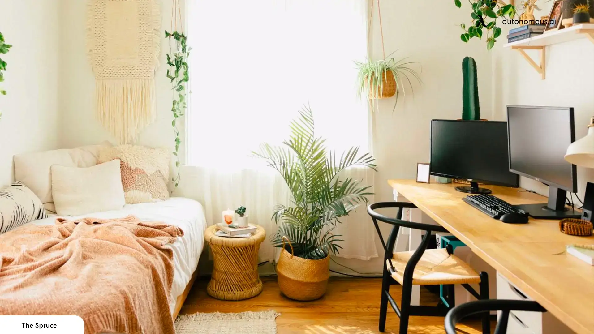 Easter gifts for college students