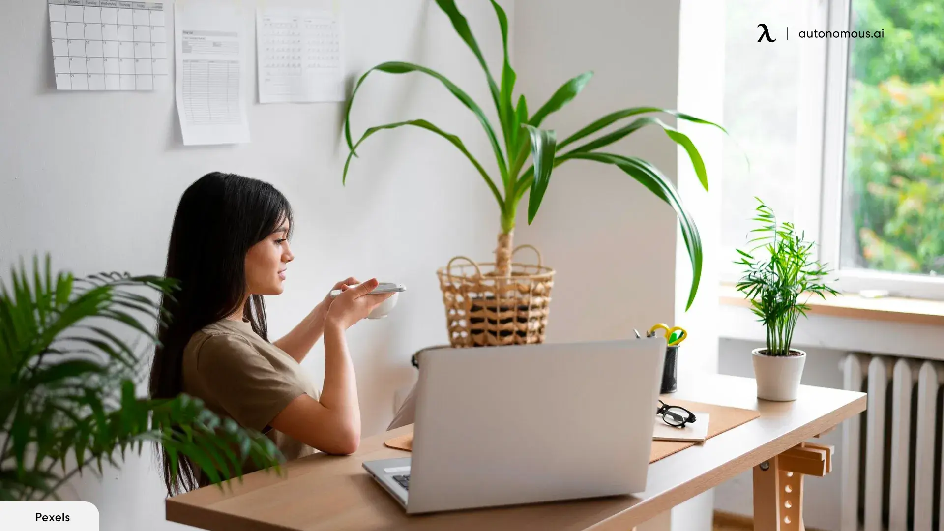 A Plant for Their Classroom