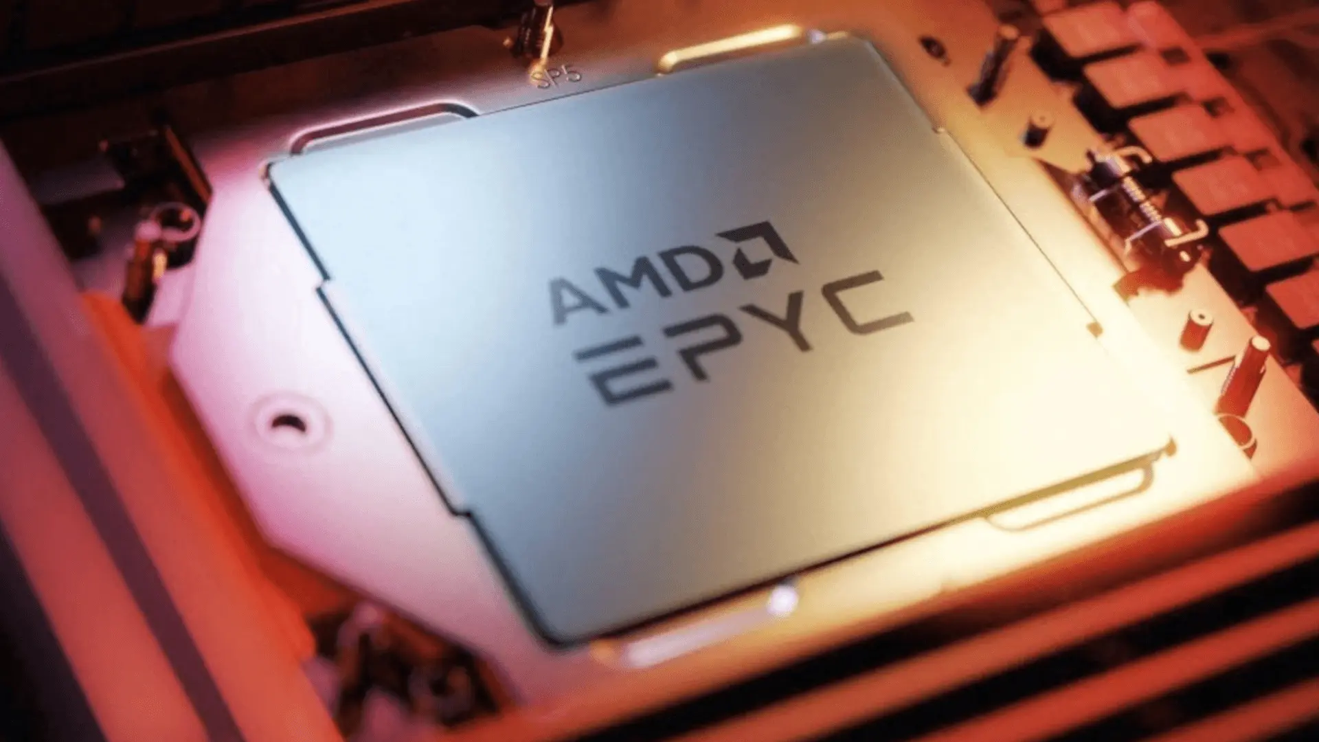 CPU: AMD EPYC 9124