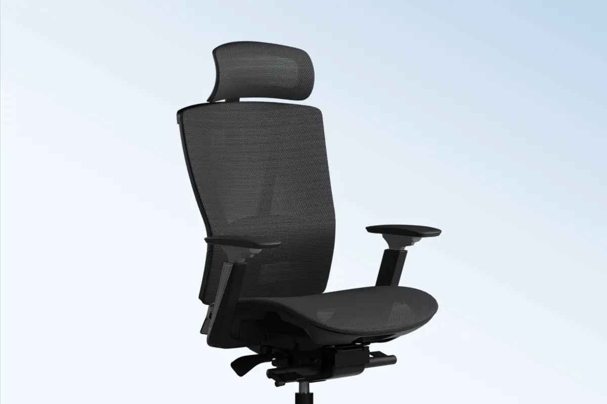 ErgoChair Mesh