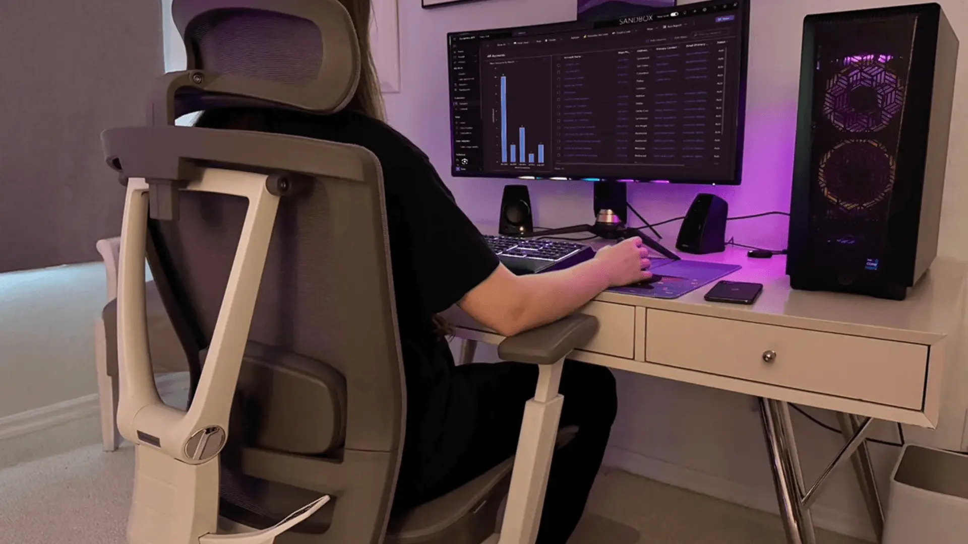 ErgoChair Pro