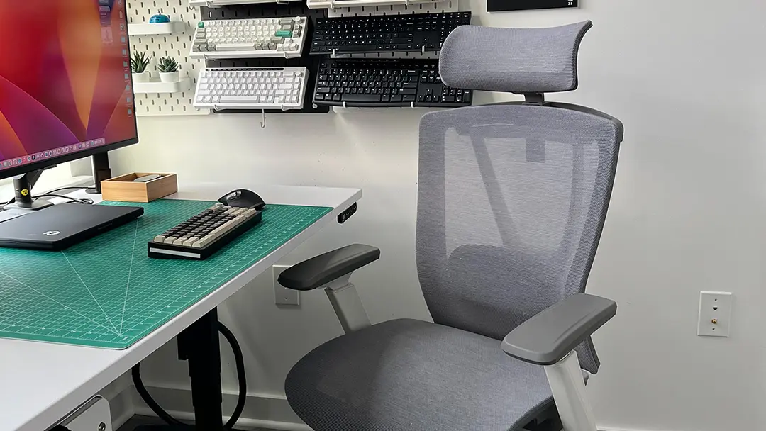 Autonomous ErgoChair Mesh, the Aeron chair dupe