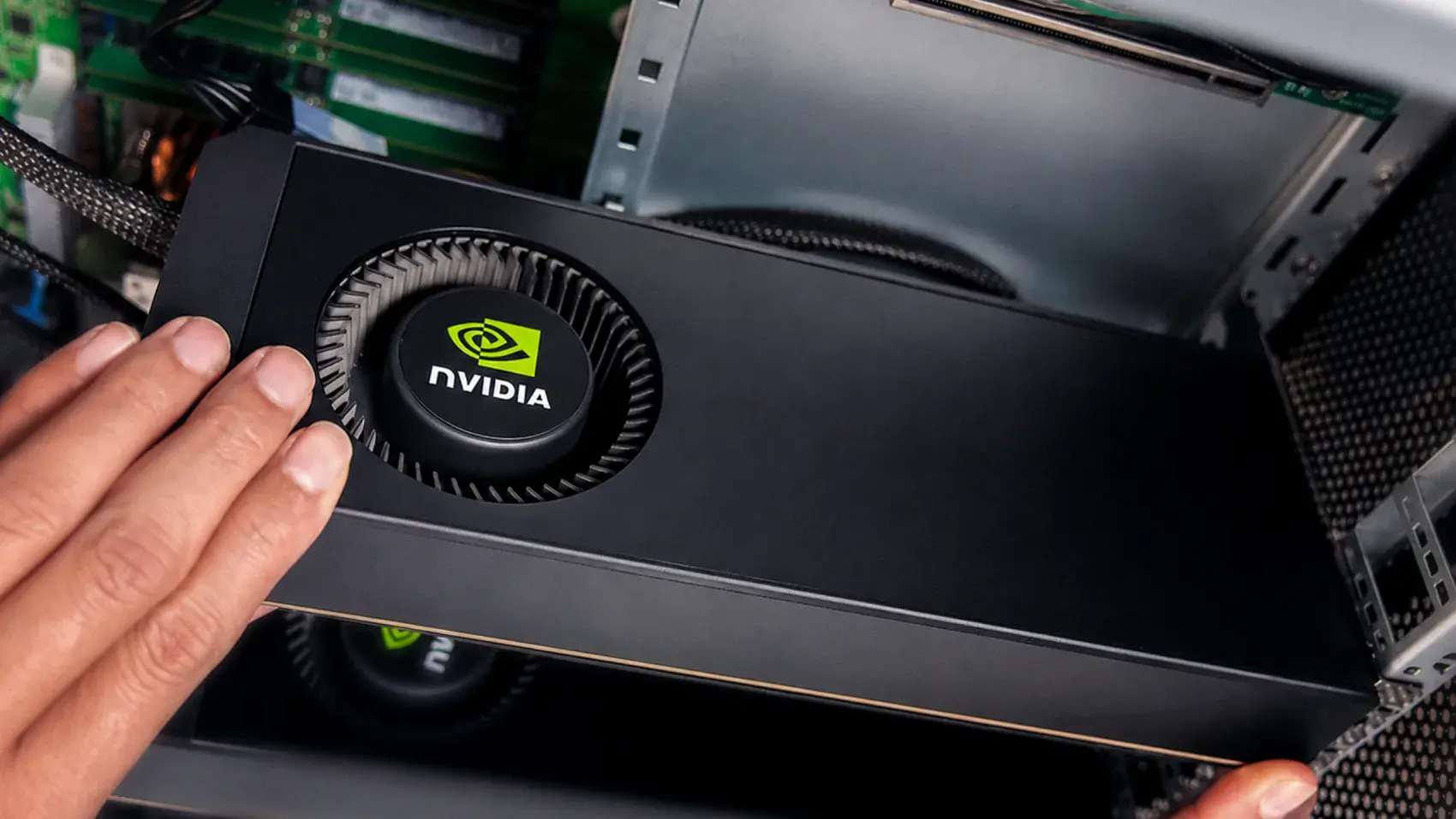 Which GPUs go in a GPU server