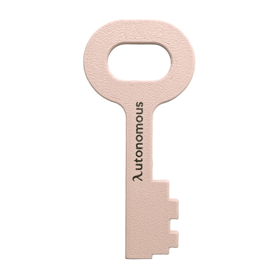 Autonomous Key Orange - None - Pack of 20