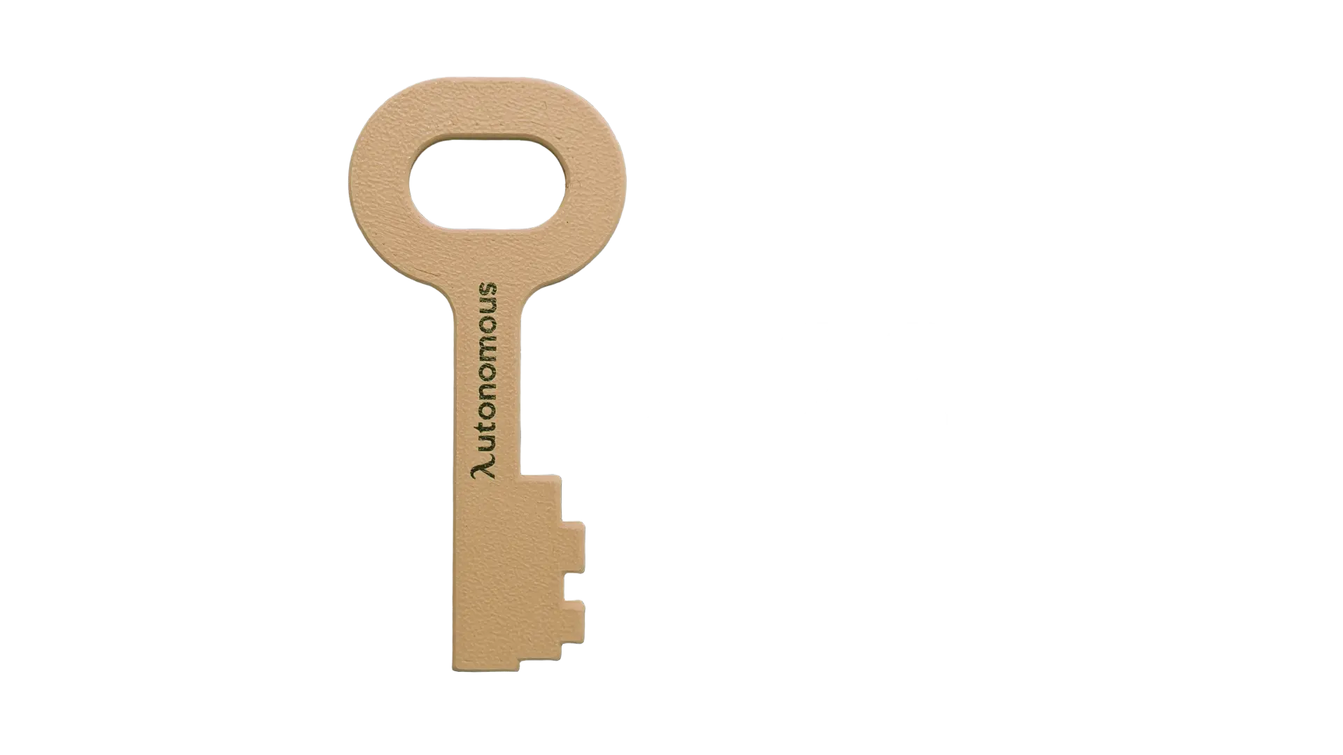 Autonomous Key Brown - None - Pack of 20
