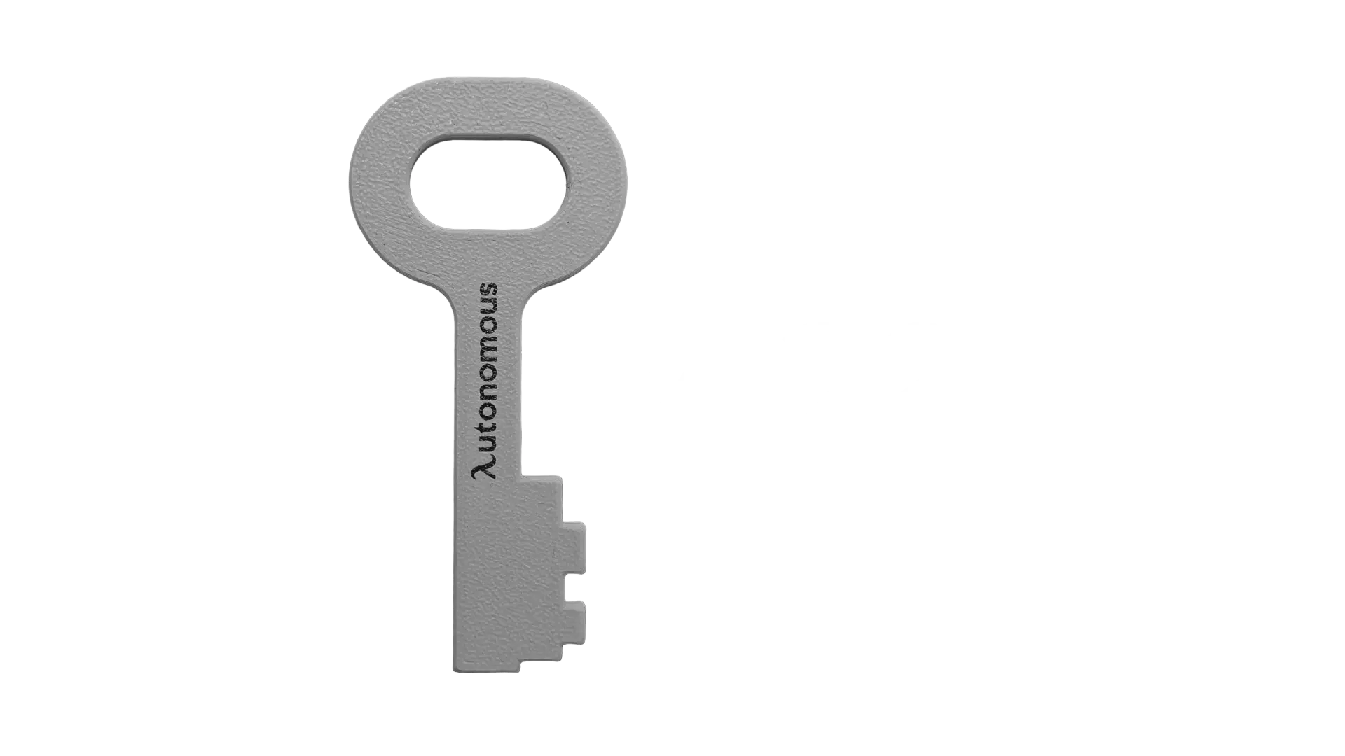 Autonomous Key Gray - None - Pack of 20