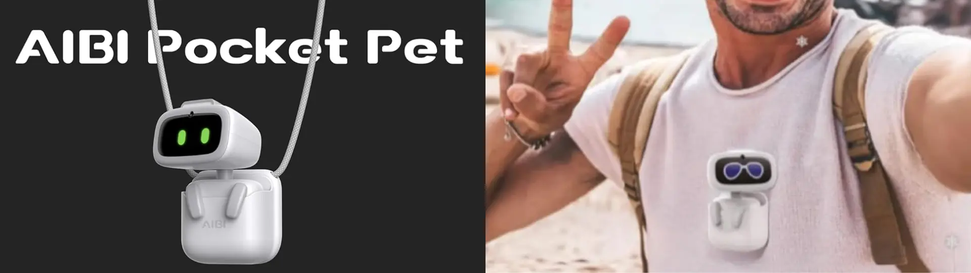 Aibi Pocket Pet: best companion on the go