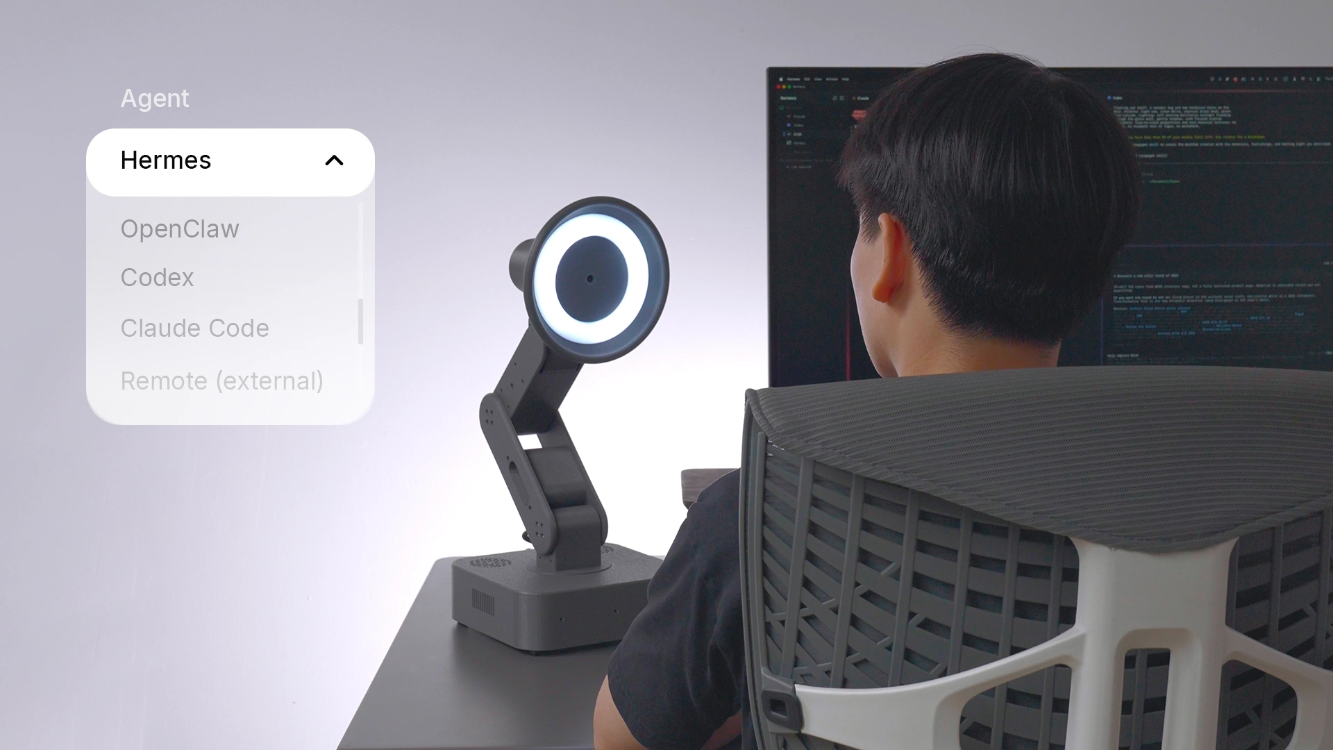 Your agent runs on Lamp and uses a cloud model from a provider you choose or a local model on your own hardware. Illustration of a configured connection.