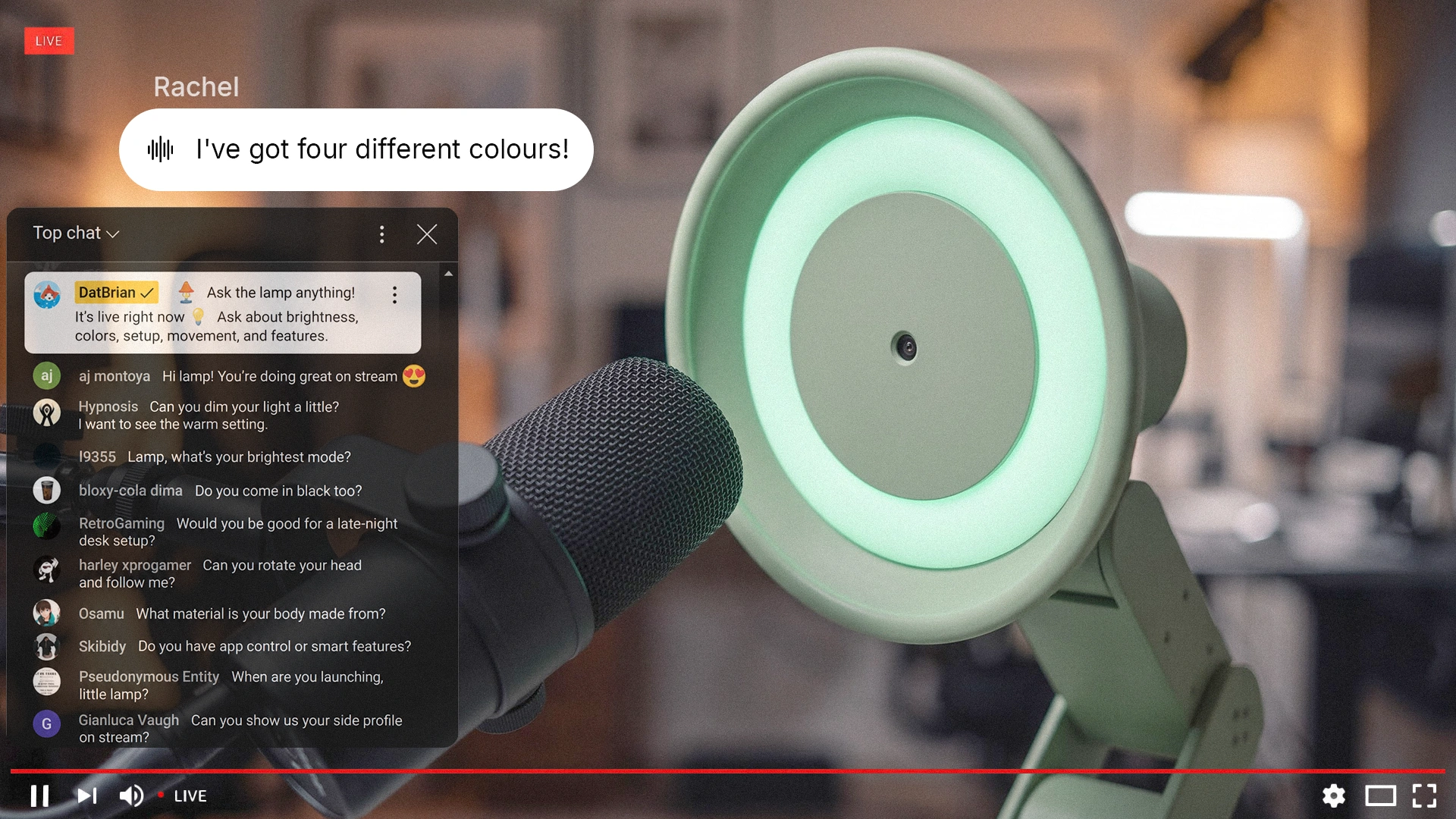 A live stream with Lamp answering questions from the live chat