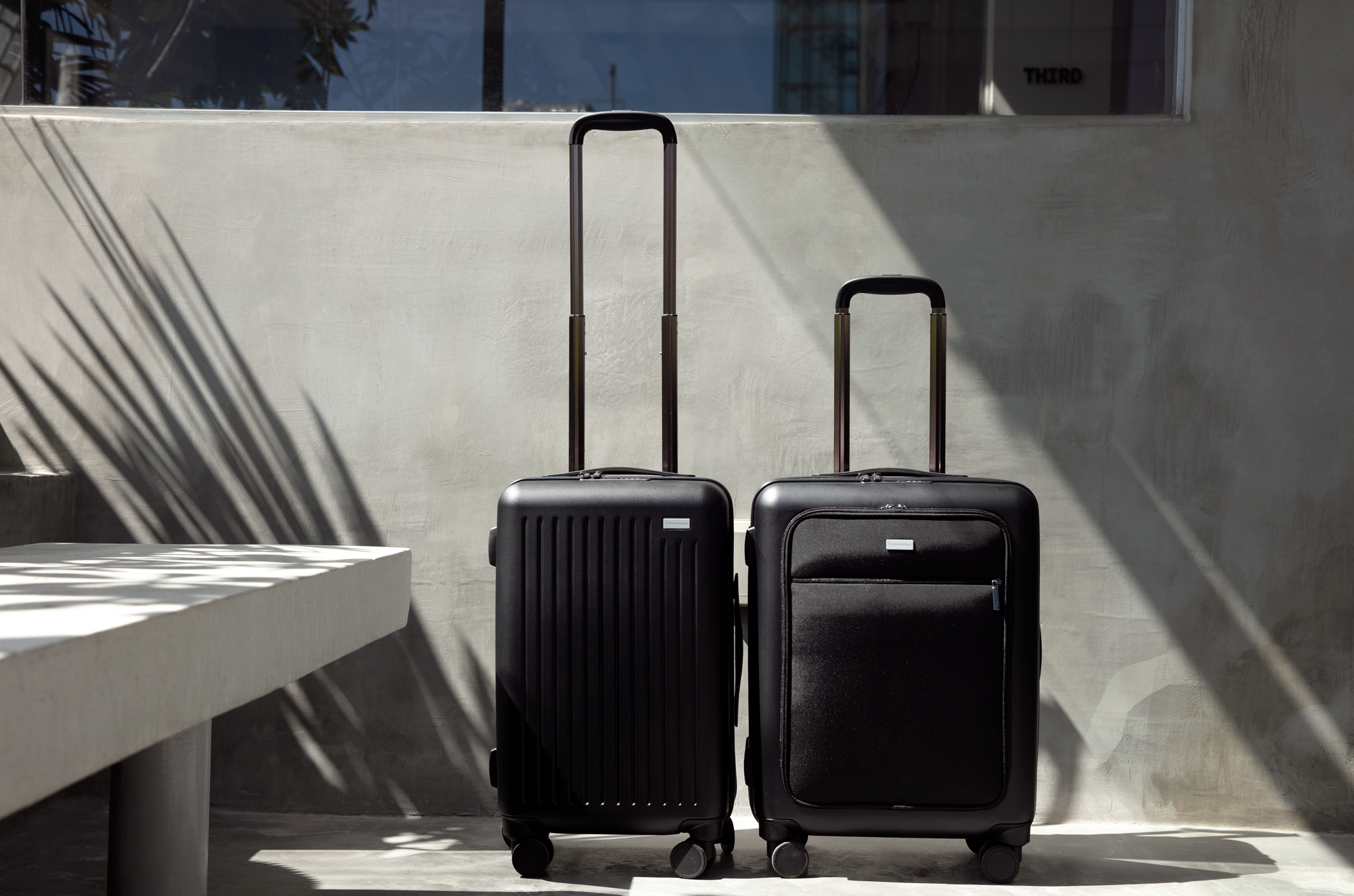 autonomous luggage