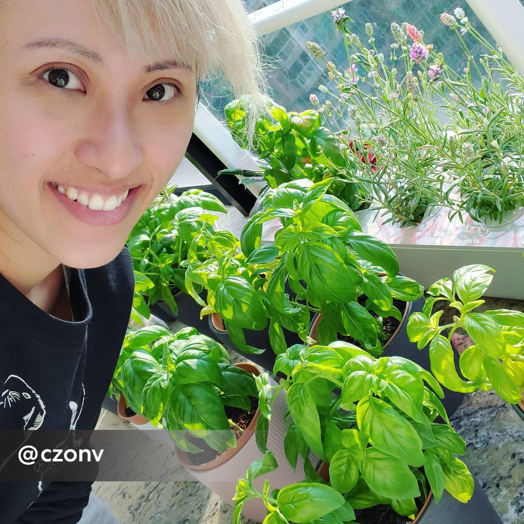 Click & Grow The Smart Garden 9 Smart Indoor Gardening System.