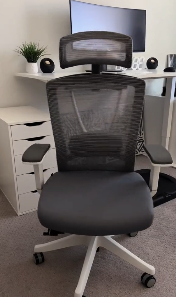 Cool Gray Ergonomic Office Chair Autonomous ErgoChair Pro