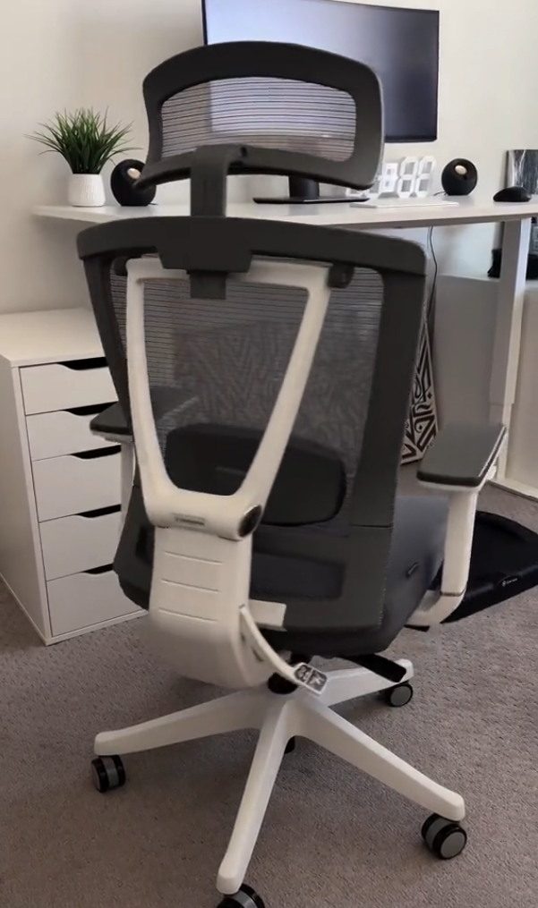 Cool Gray Ergonomic Office Chair Autonomous ErgoChair Pro