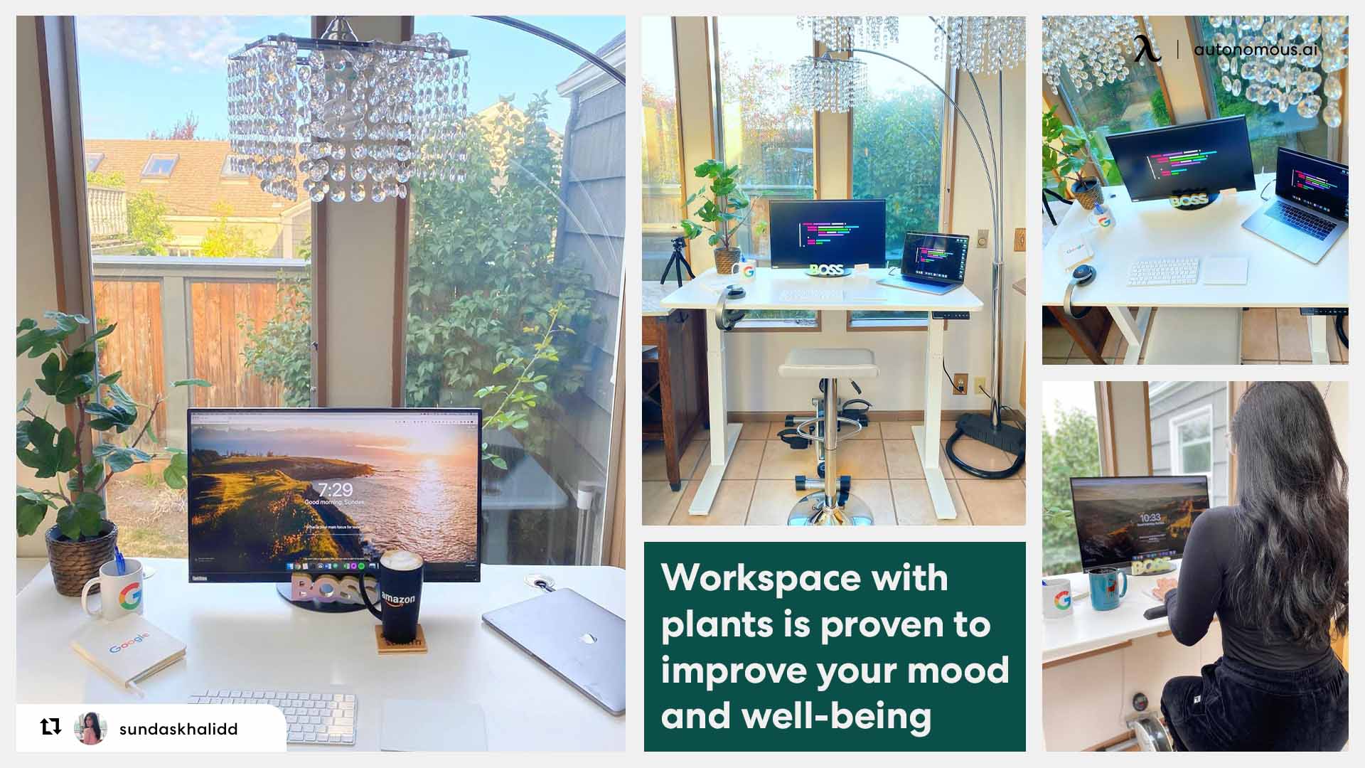 Workspace with plants