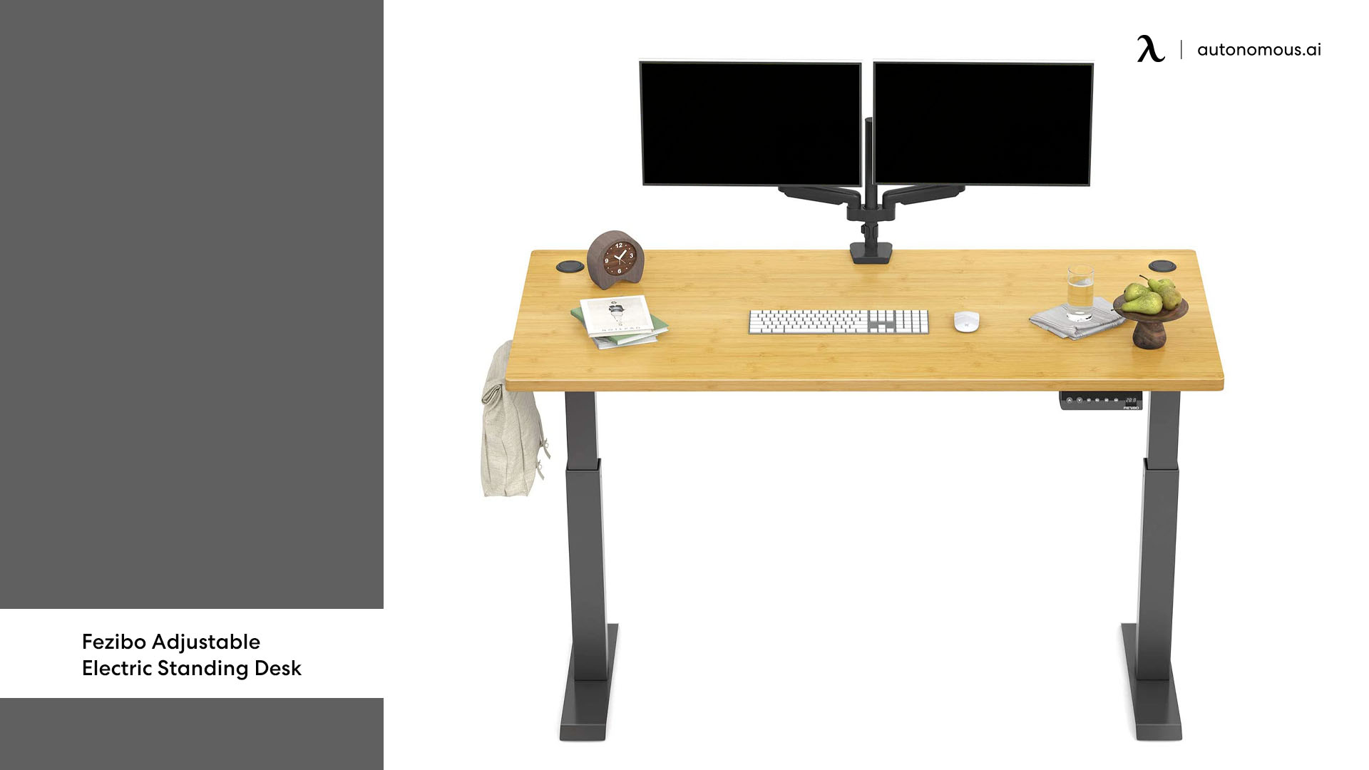 Fezibo Adjustable Electric Standing Desk