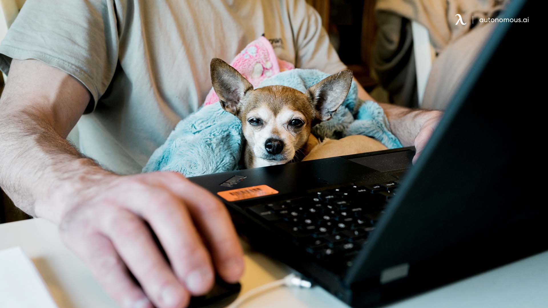 Why you should work at home