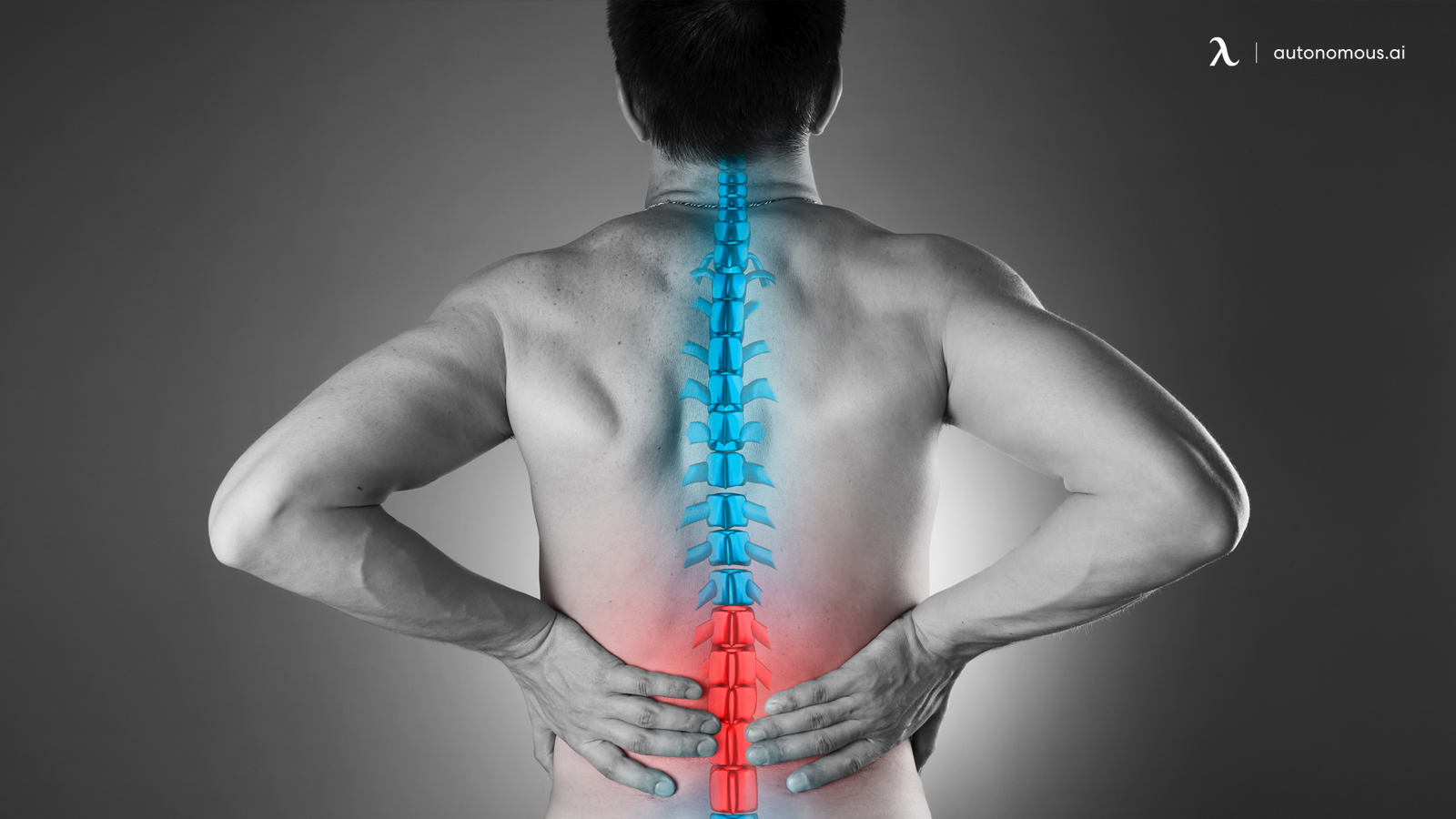 Lumbar Support and Pain