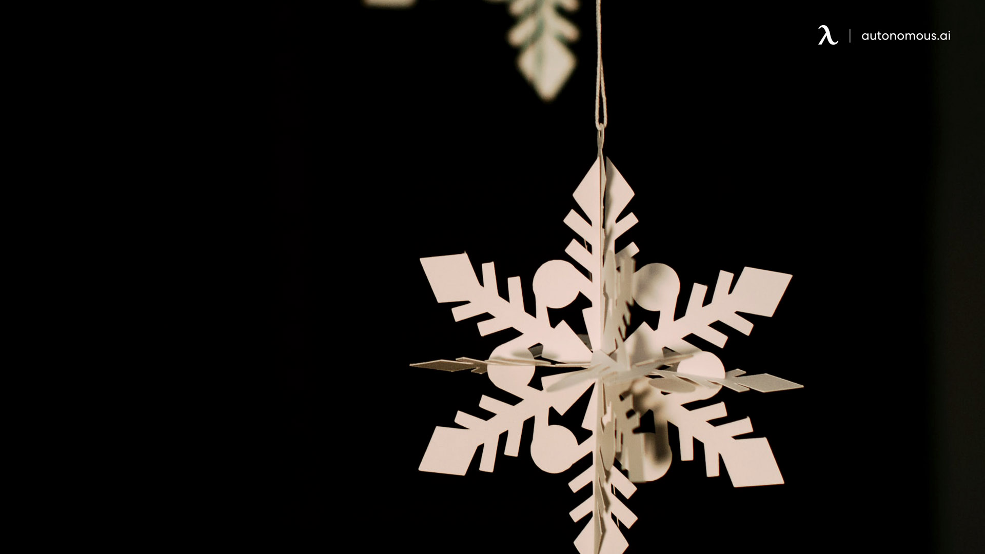 3D Snowflakes