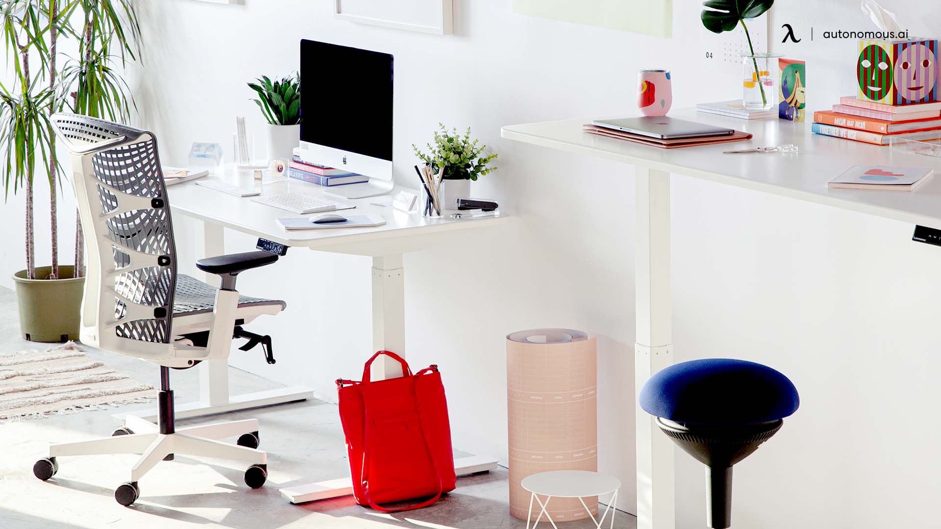 Office Standing Desk