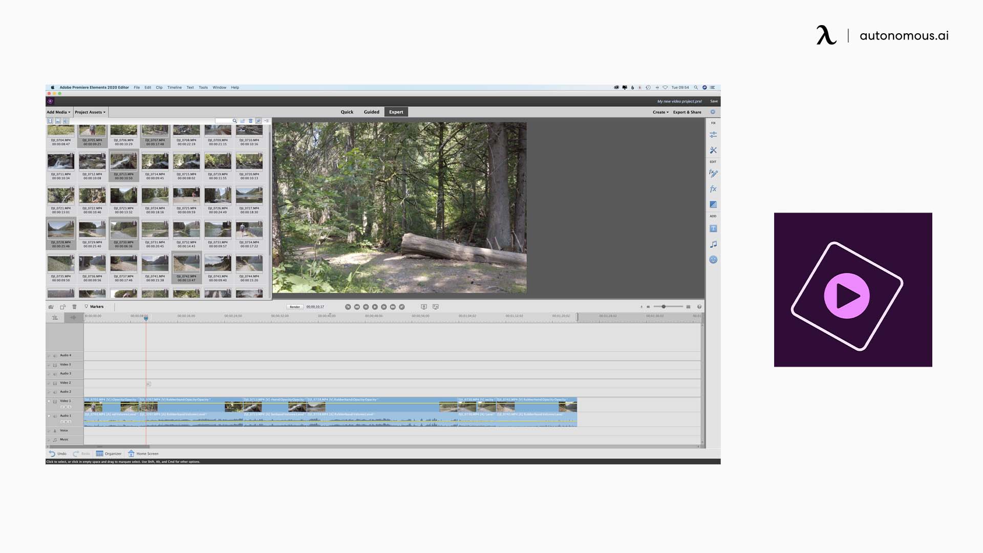 Adobe Premiere Elements.jpg
