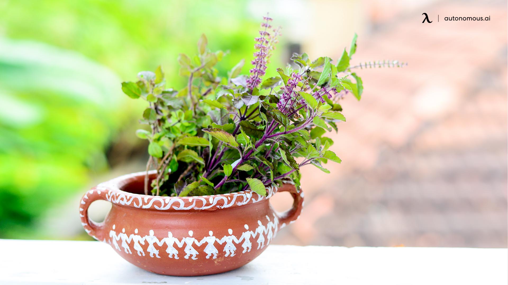 tulsi or basil