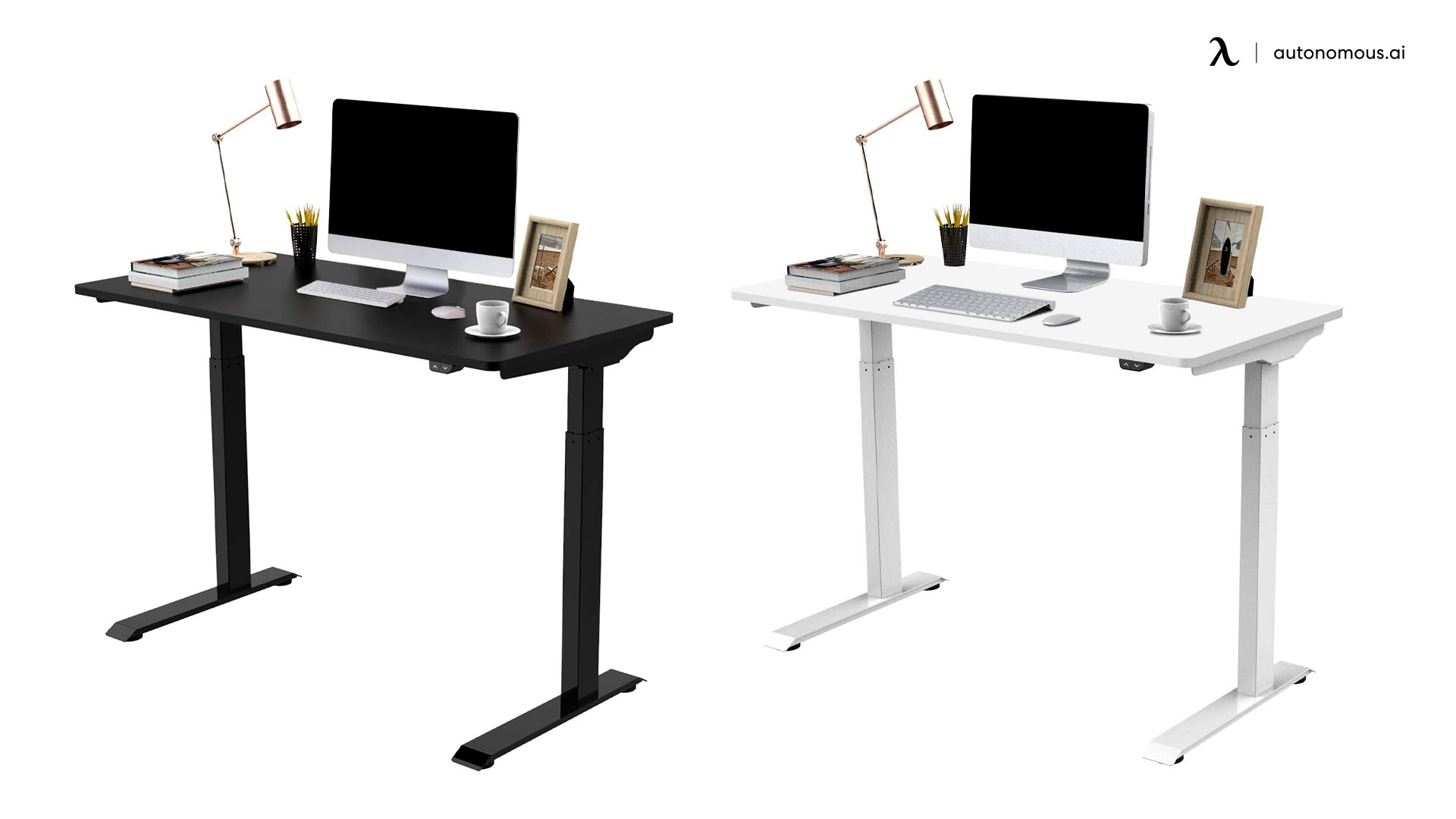 Flexispot EC9 Standing Desk