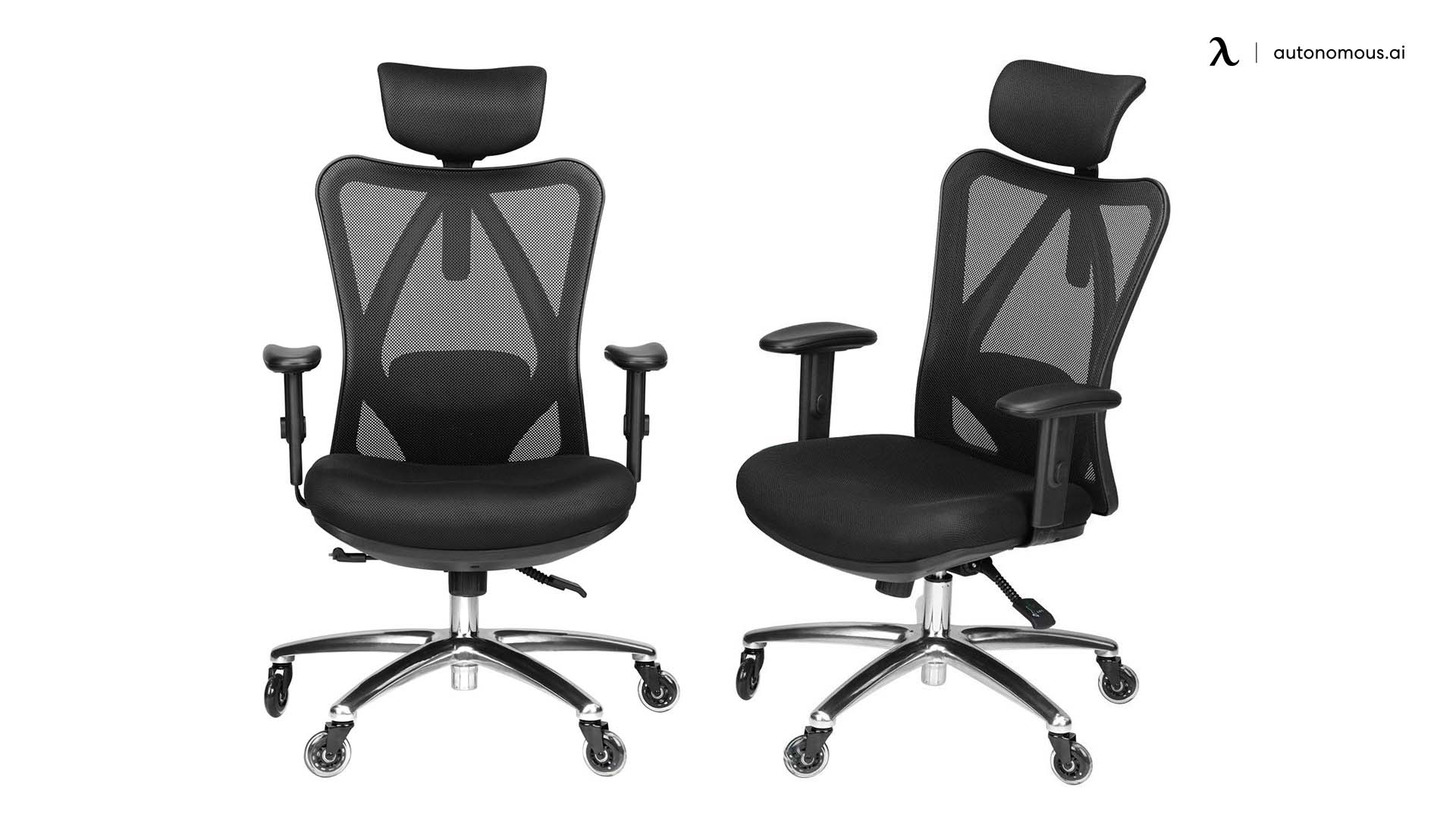 Duramont Adjustable Office Chair with Lumbar Support