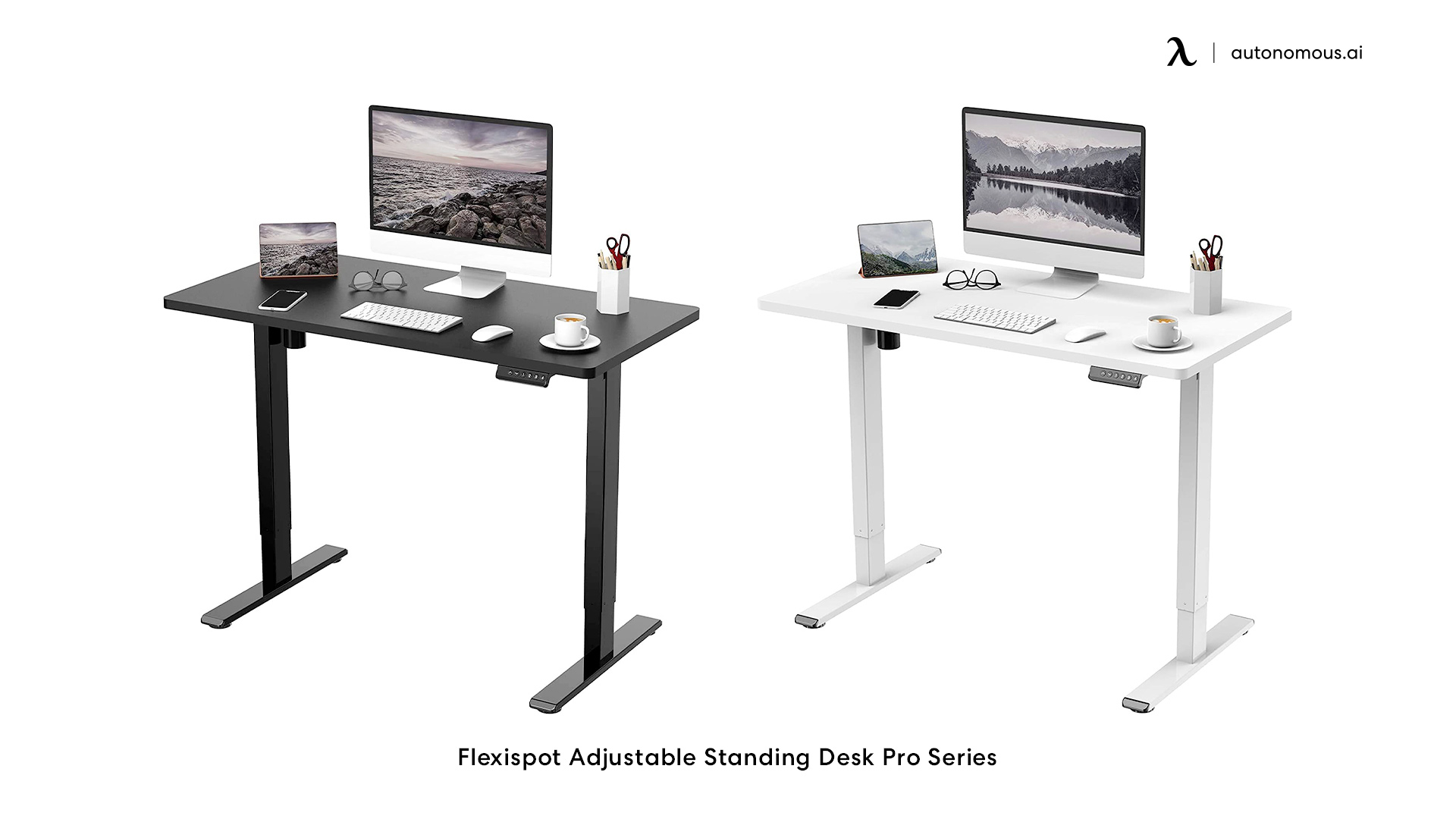 Standing Desk by Flexispot