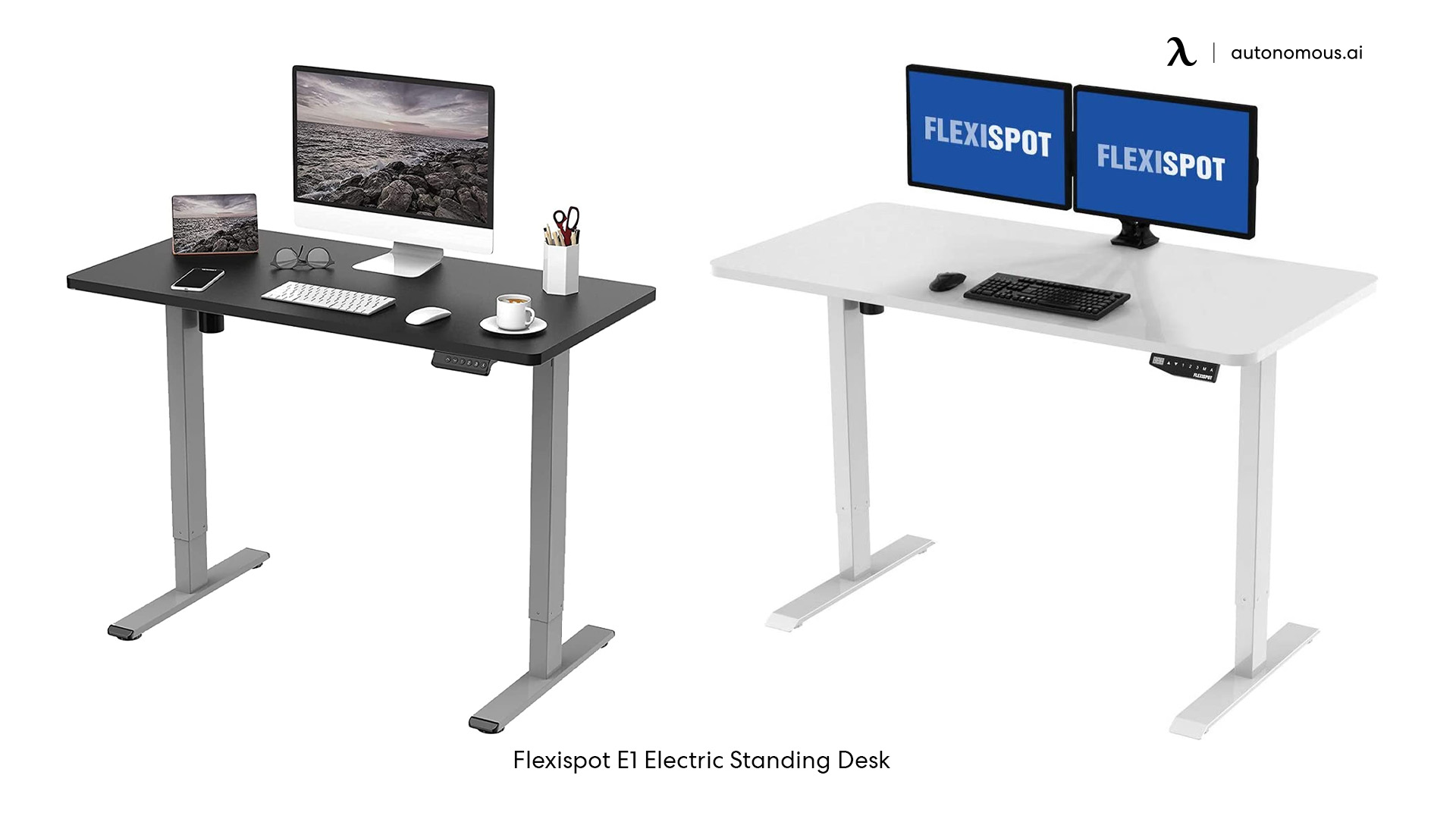 Flexispot E1 Electric Standing Desk