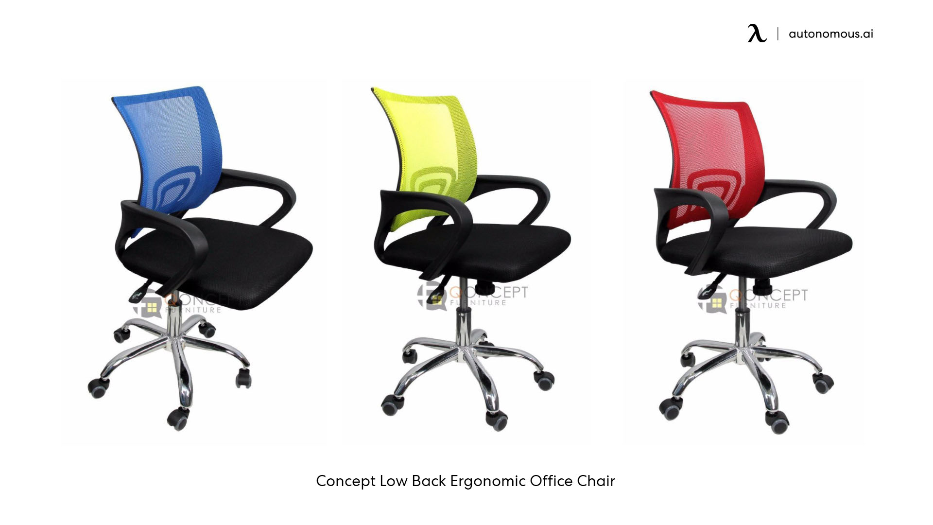 Concept Low Back Ergonomic Office Chair