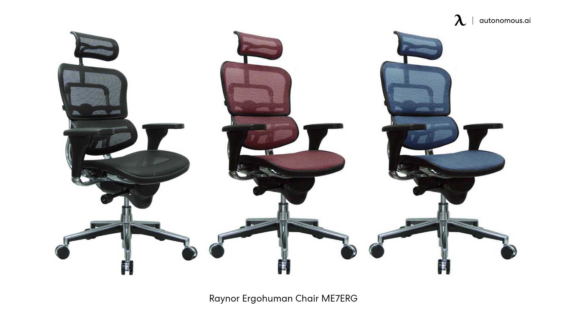 Raynor Ergohuman Chair ME7ERG
